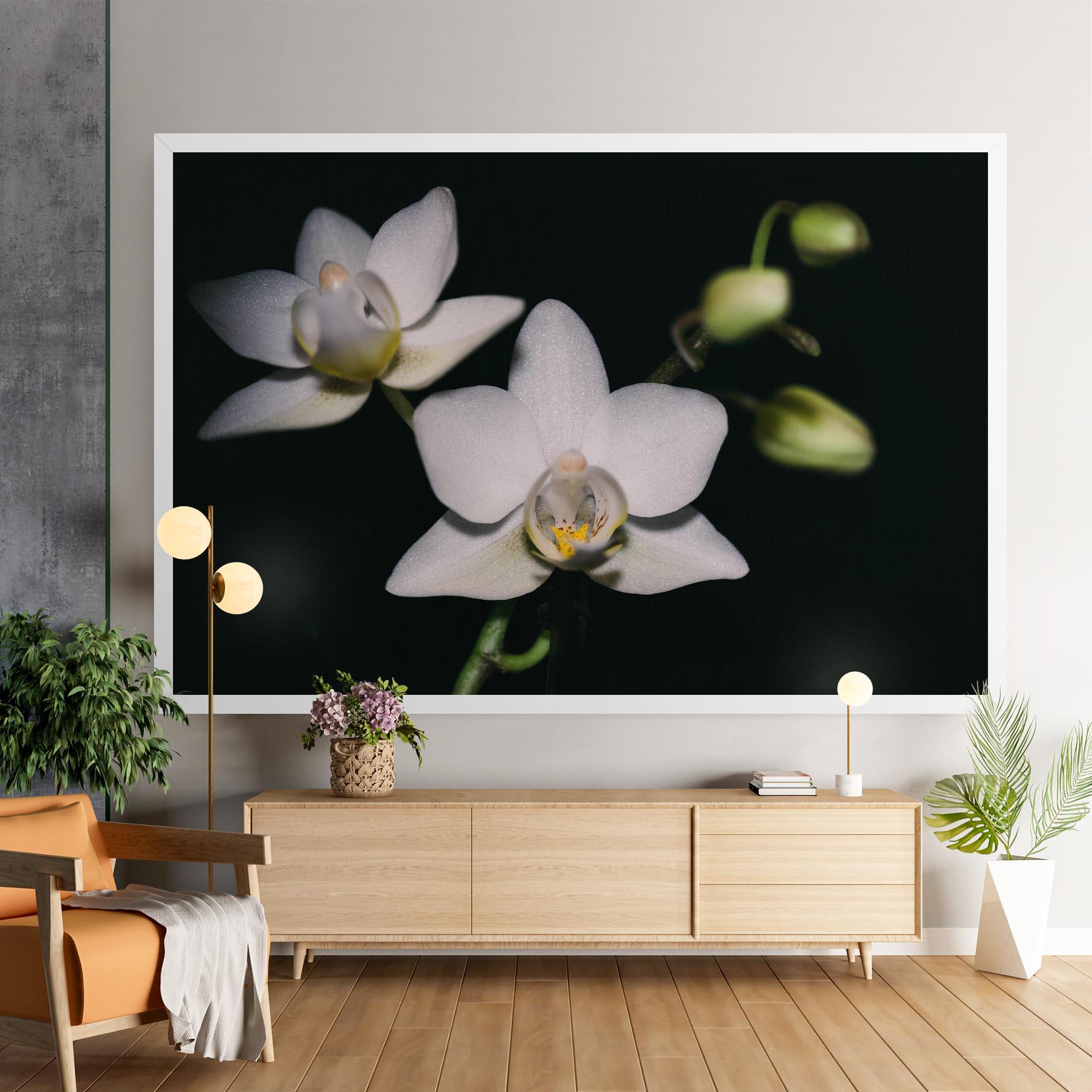 Tablou Canvas Orchids On Black mockup 9