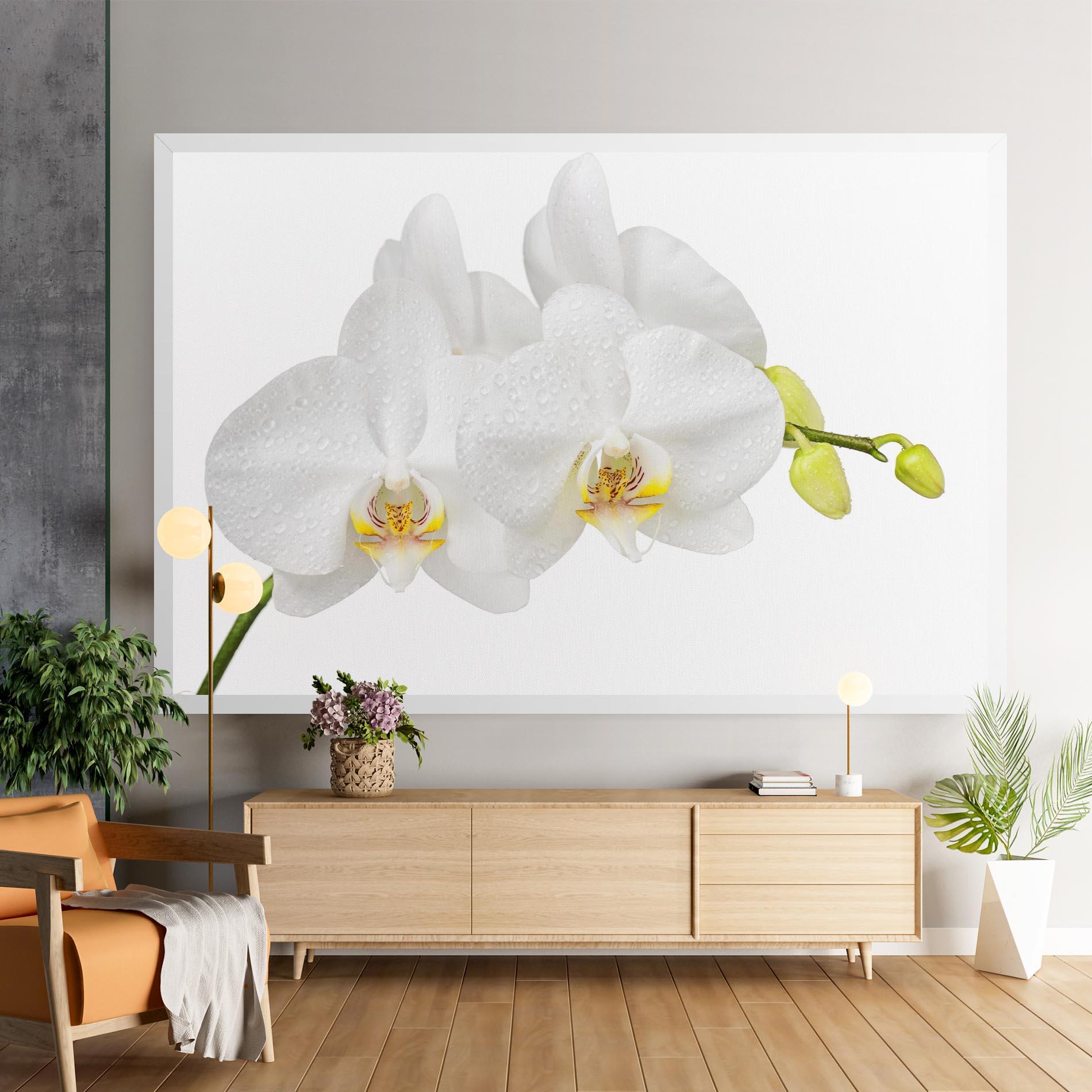 Tablou Canvas Orchids On White mockup 9
