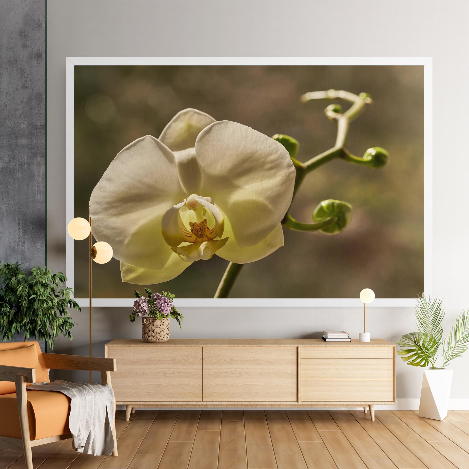 Tablou Canvas Pastel Yellow Orchid In Garden mockup 9