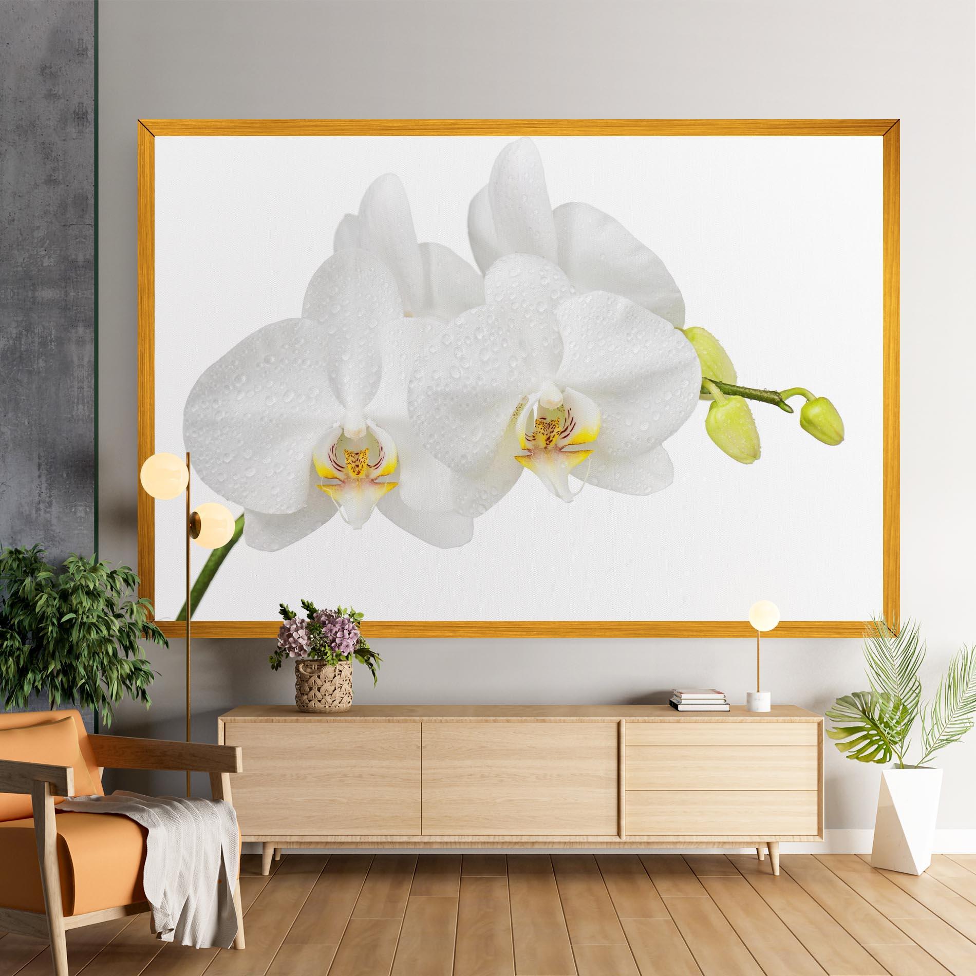 Tablou Canvas Orchids On White mockup 9