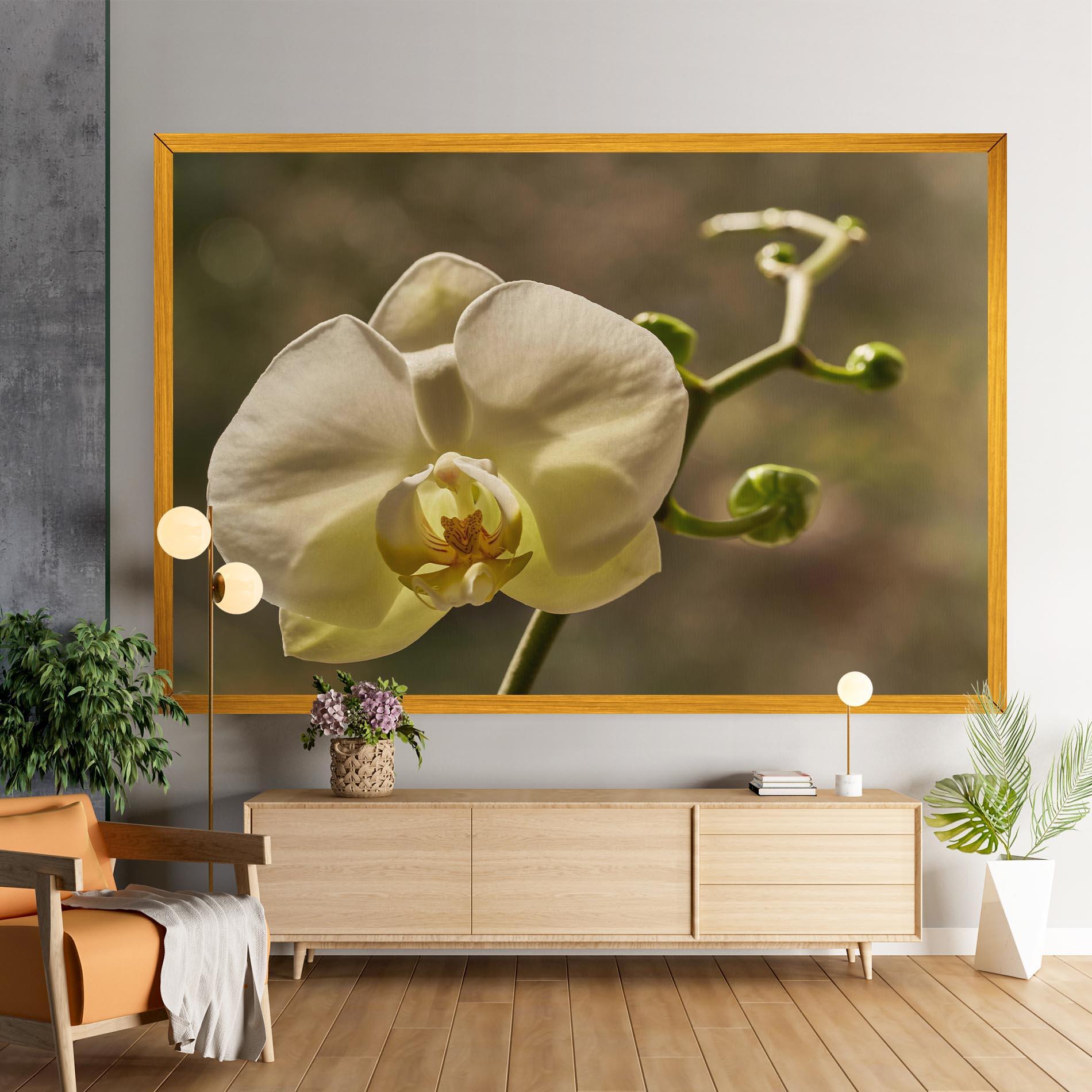 Tablou Canvas Pastel Yellow Orchid In Garden mockup 9