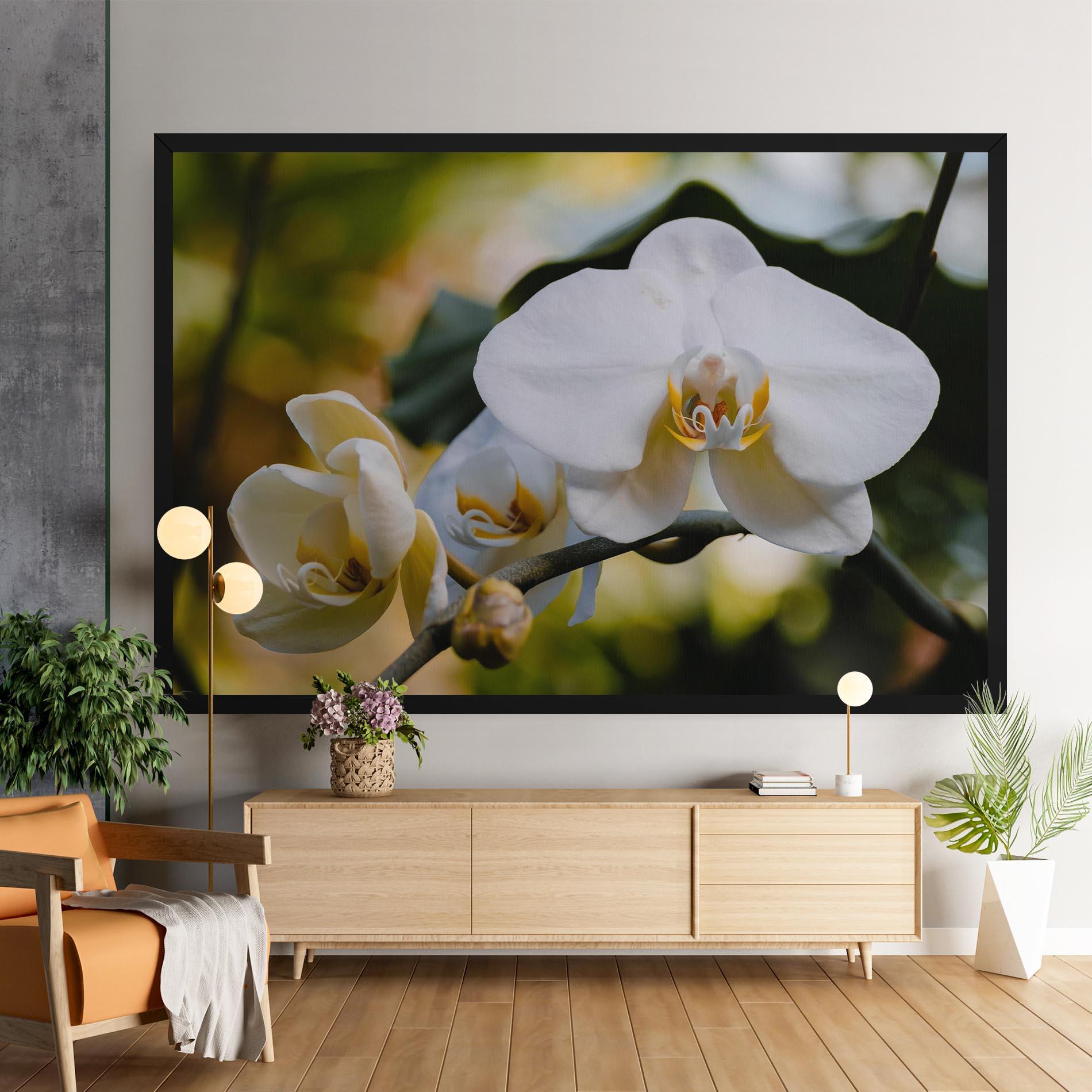 Tablou Canvas Cream Orchid In Nature mockup 9