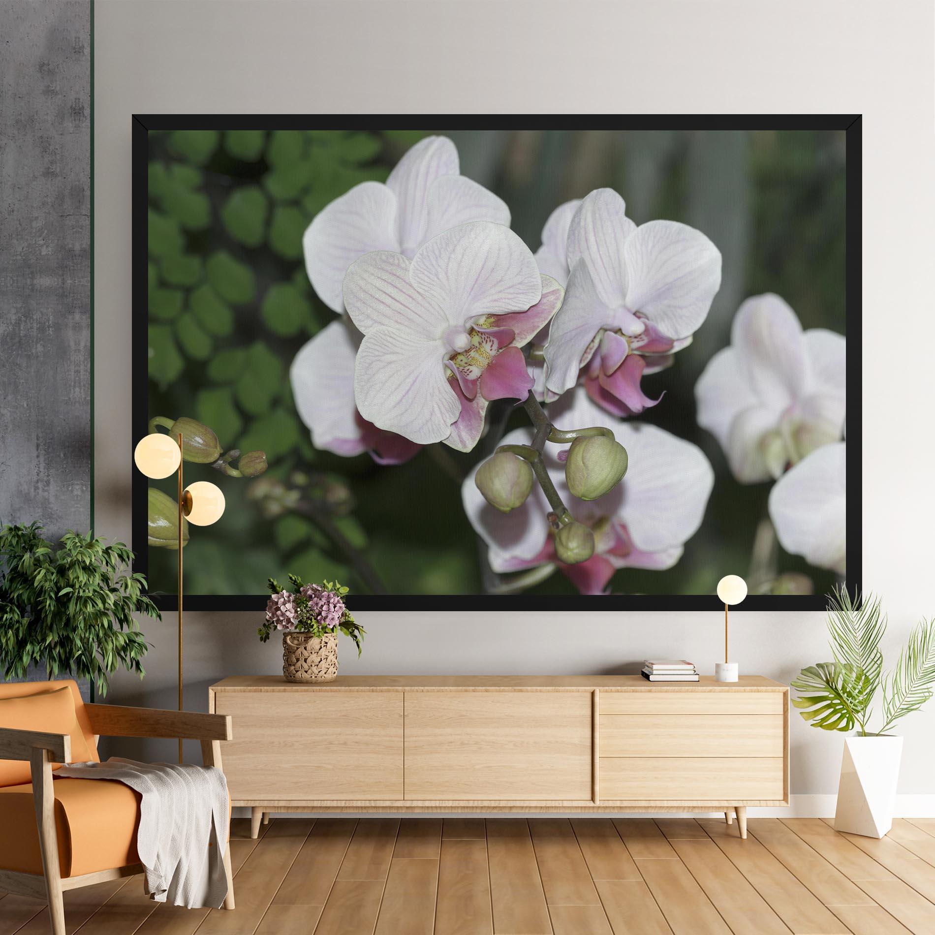 Tablou Canvas Orchid Botanical Garden mockup 9