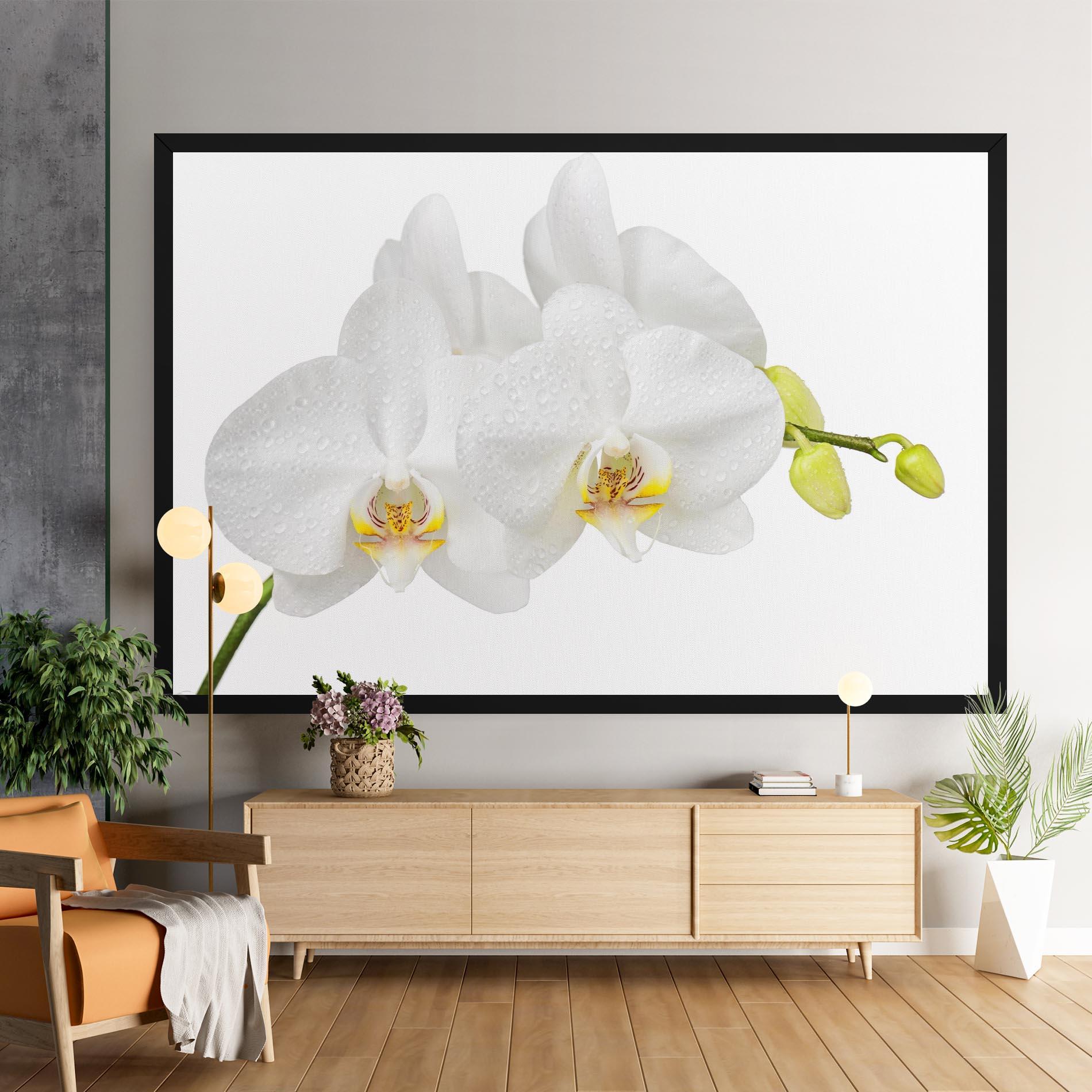 Tablou Canvas Orchids On White mockup 9