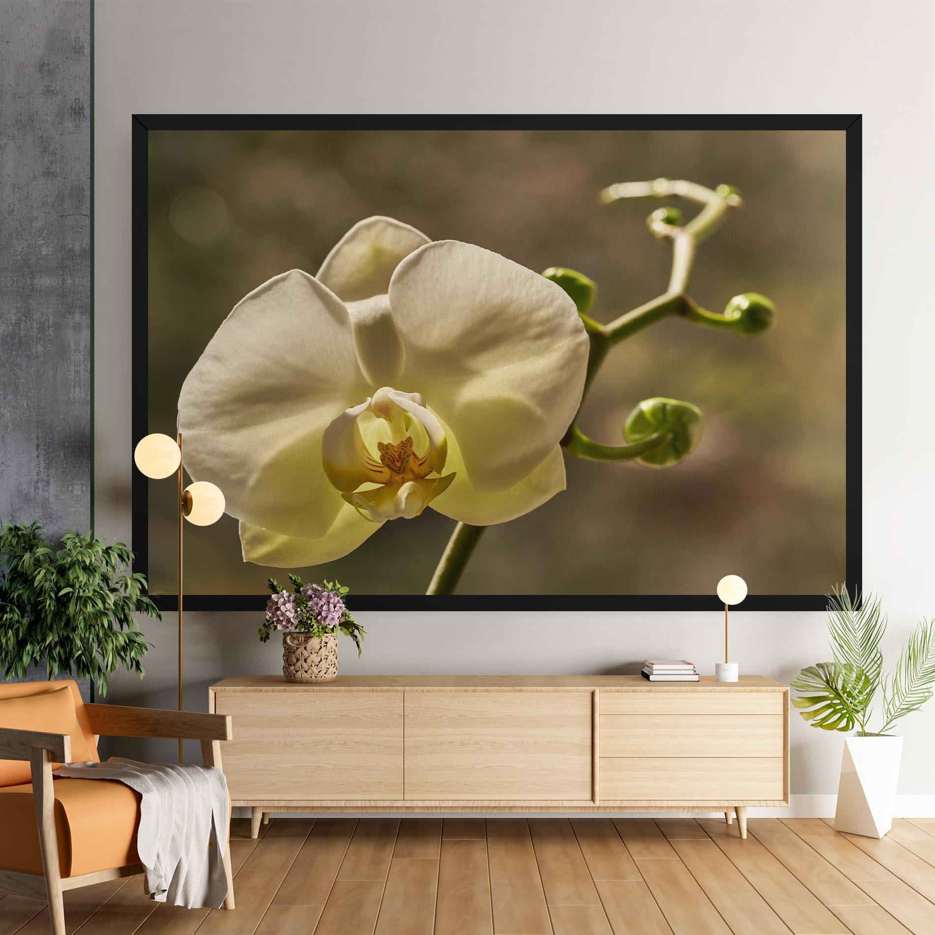Tablou Canvas Pastel Yellow Orchid In Garden mockup 9