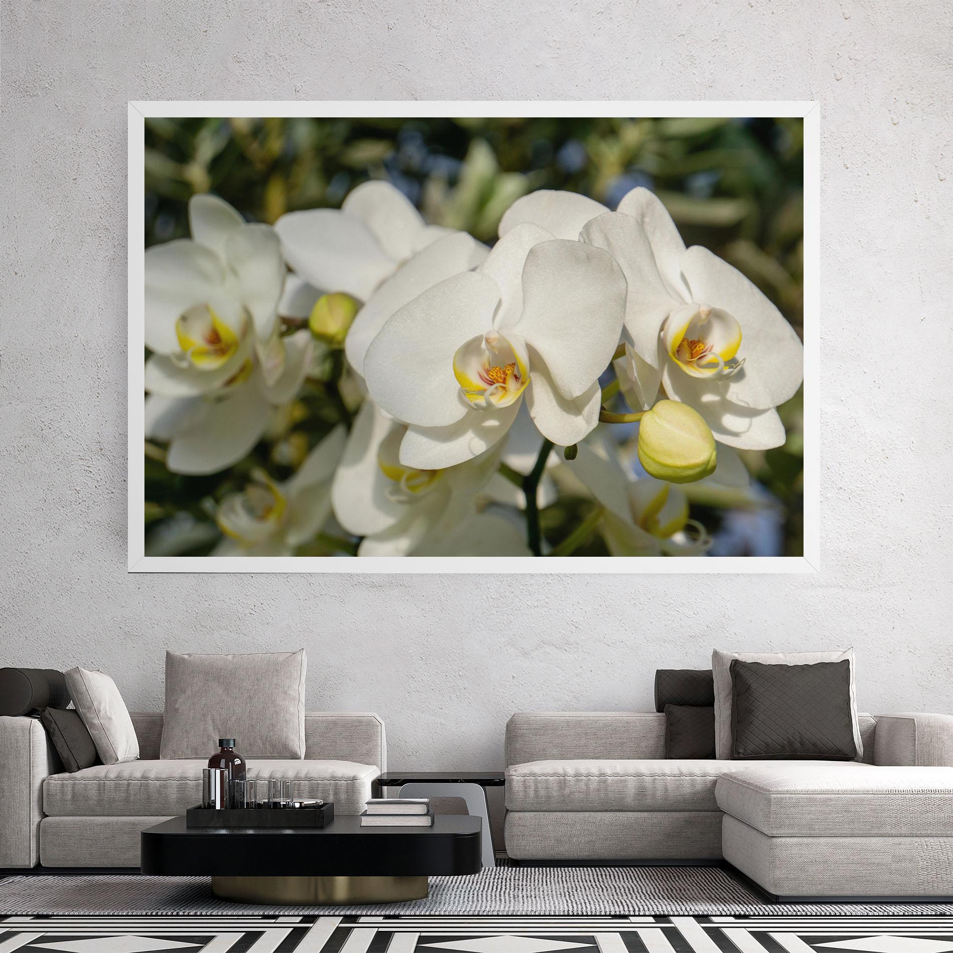 Tablou Canvas Big Orchids In Nature mockup 2