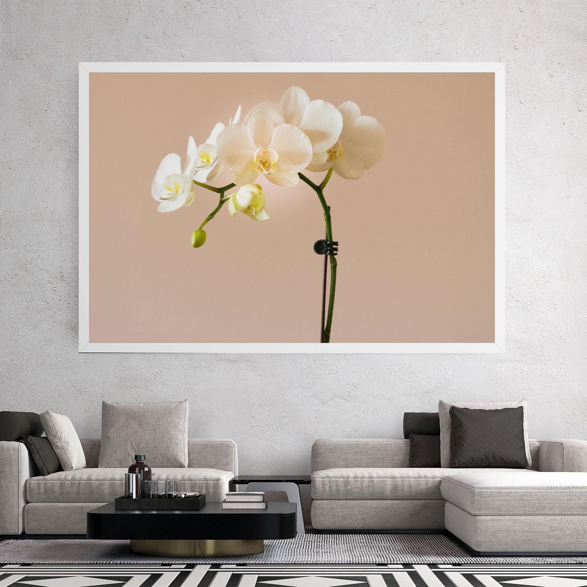 Tablou Canvas Cream Orchid On Pink mockup 2