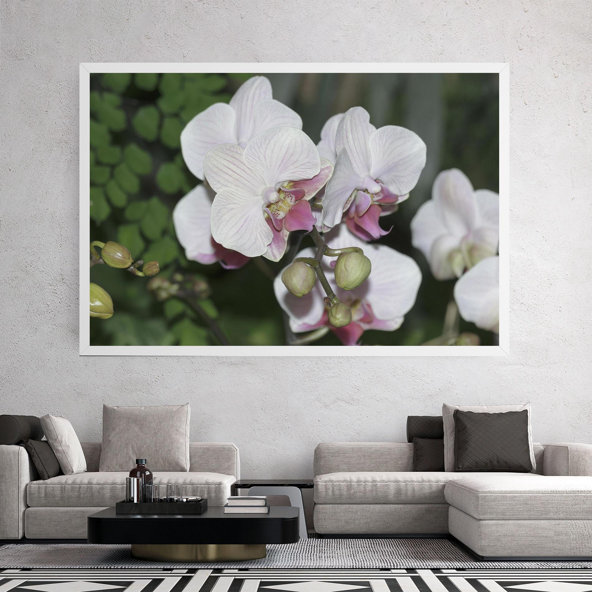 Tablou Canvas Orchid Botanical Garden mockup 2