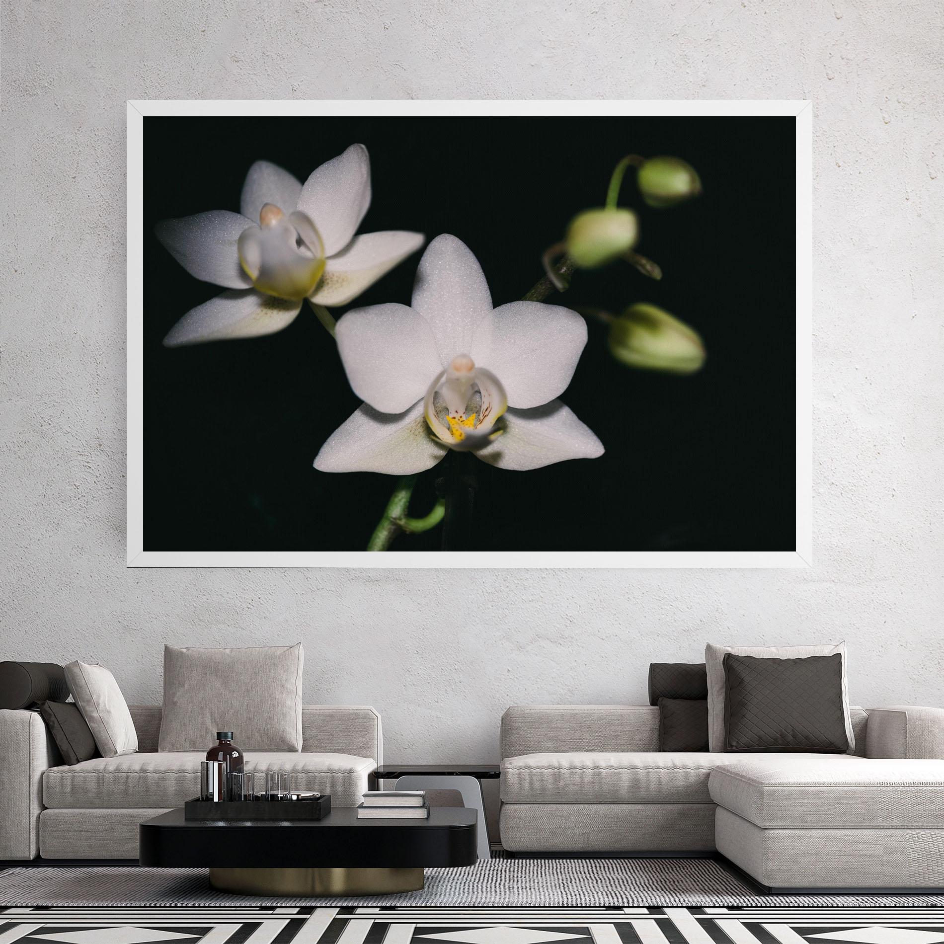 Tablou Canvas Orchids On Black mockup 2