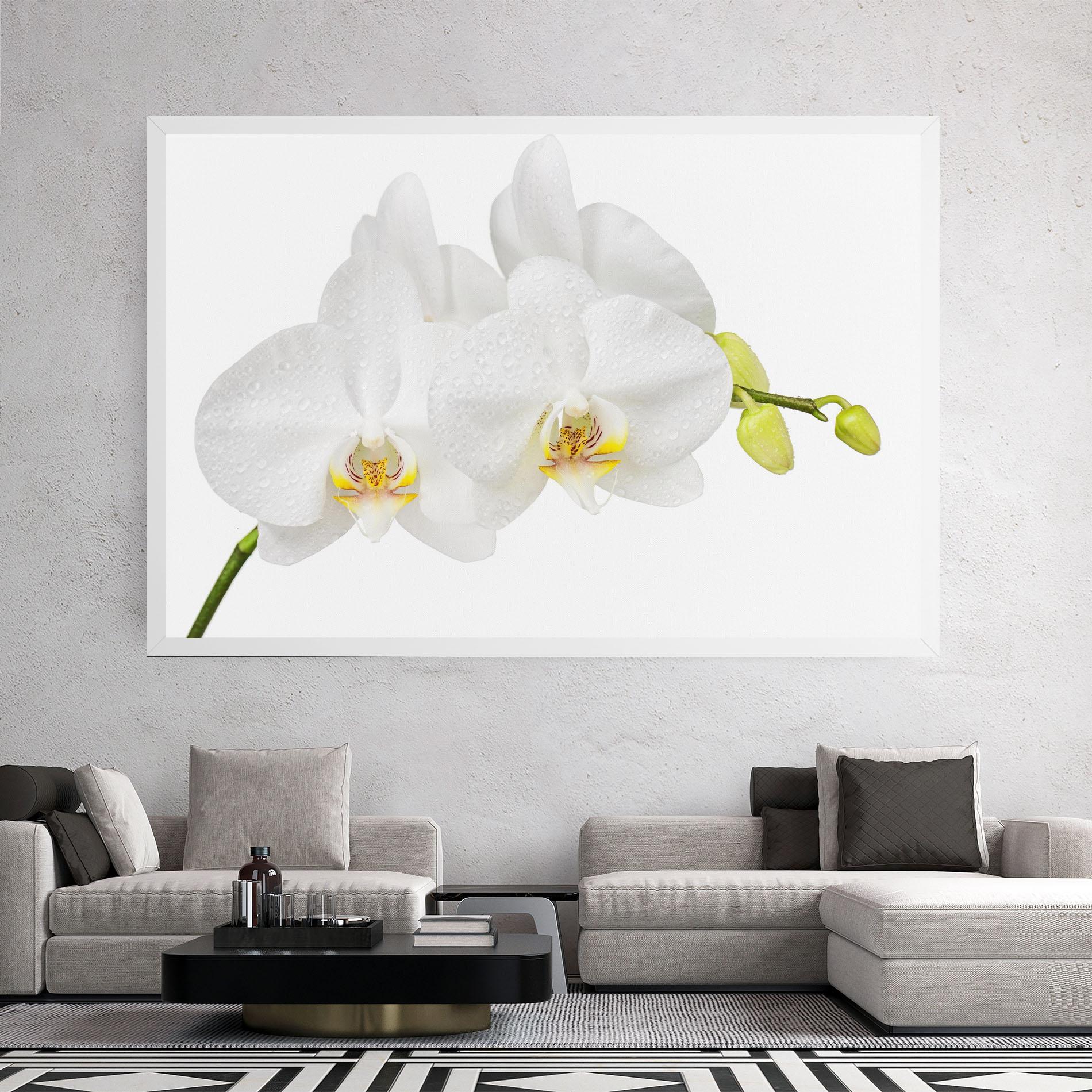 Tablou Canvas Orchids On White mockup 2