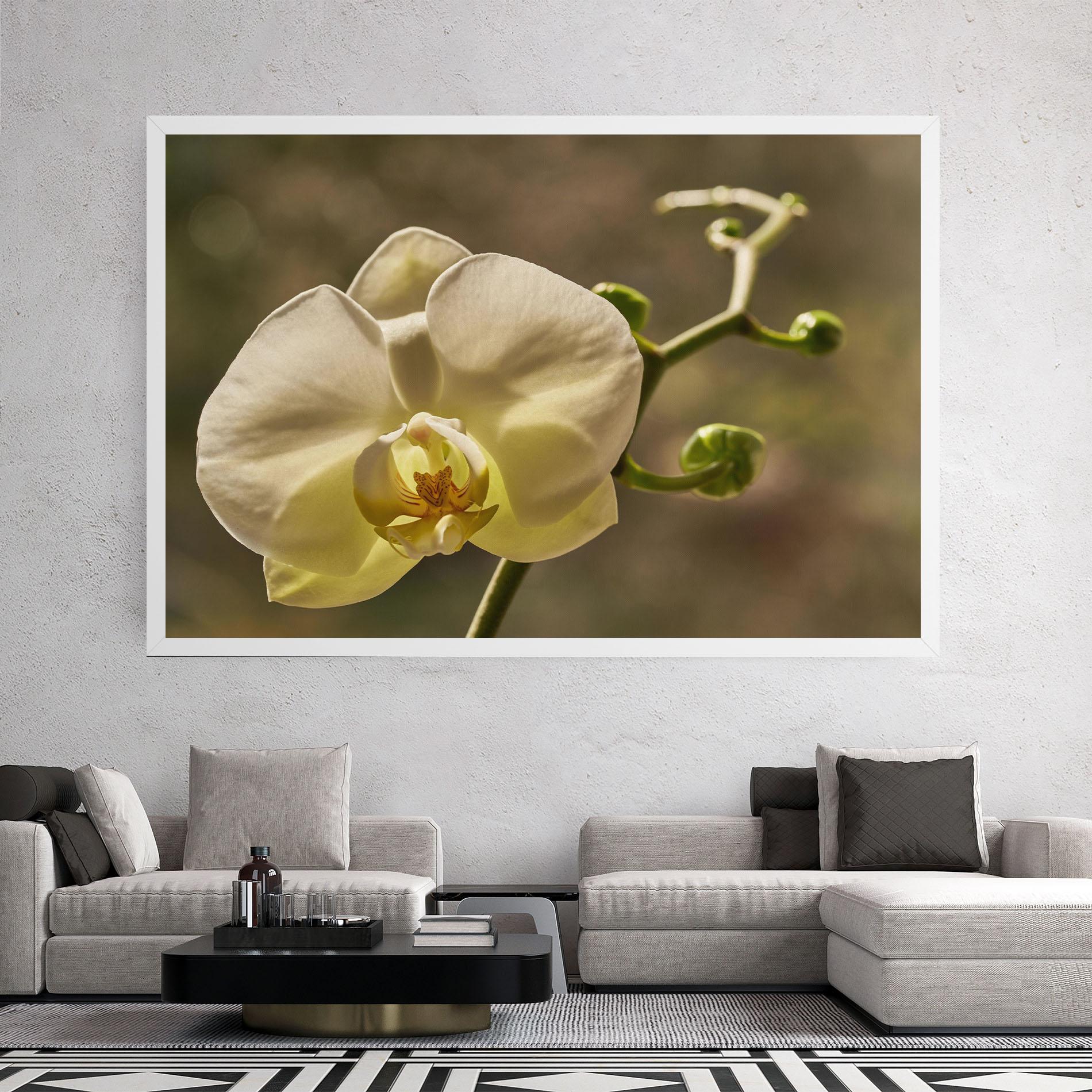 Tablou Canvas Pastel Yellow Orchid In Garden mockup 2