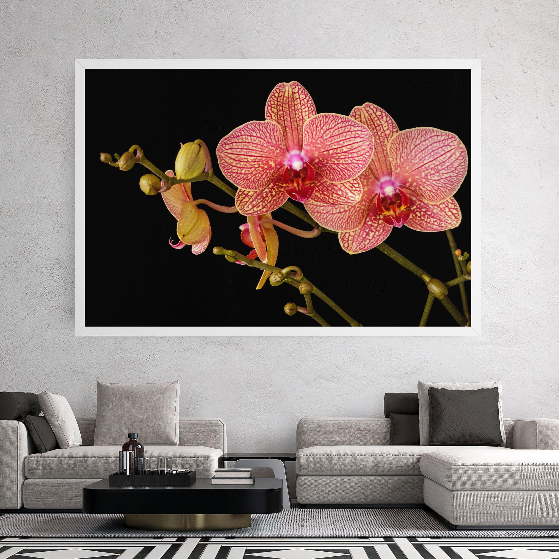 Tablou Canvas Pink Orchids On Black mockup 2