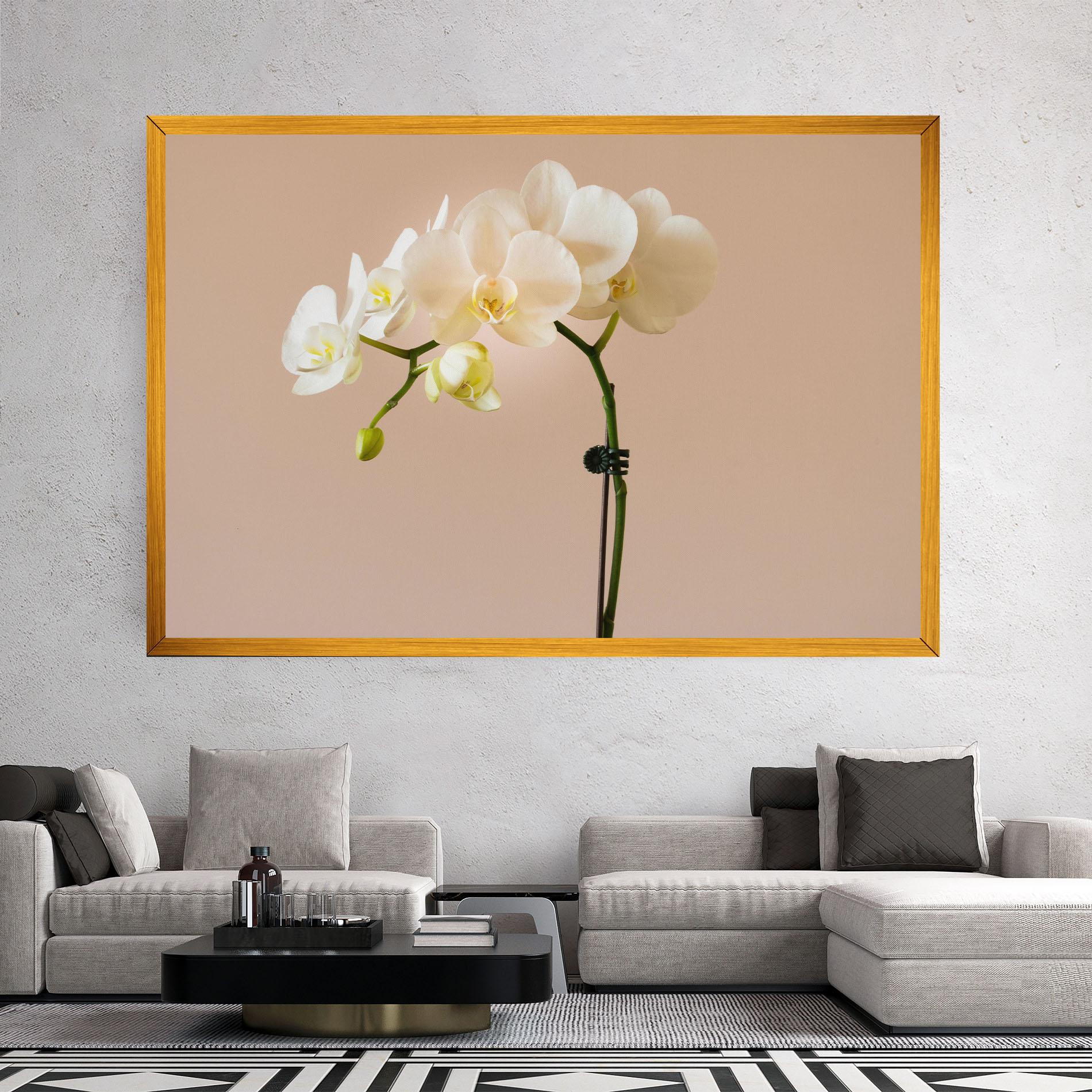 Tablou Canvas Cream Orchid On Pink mockup 2