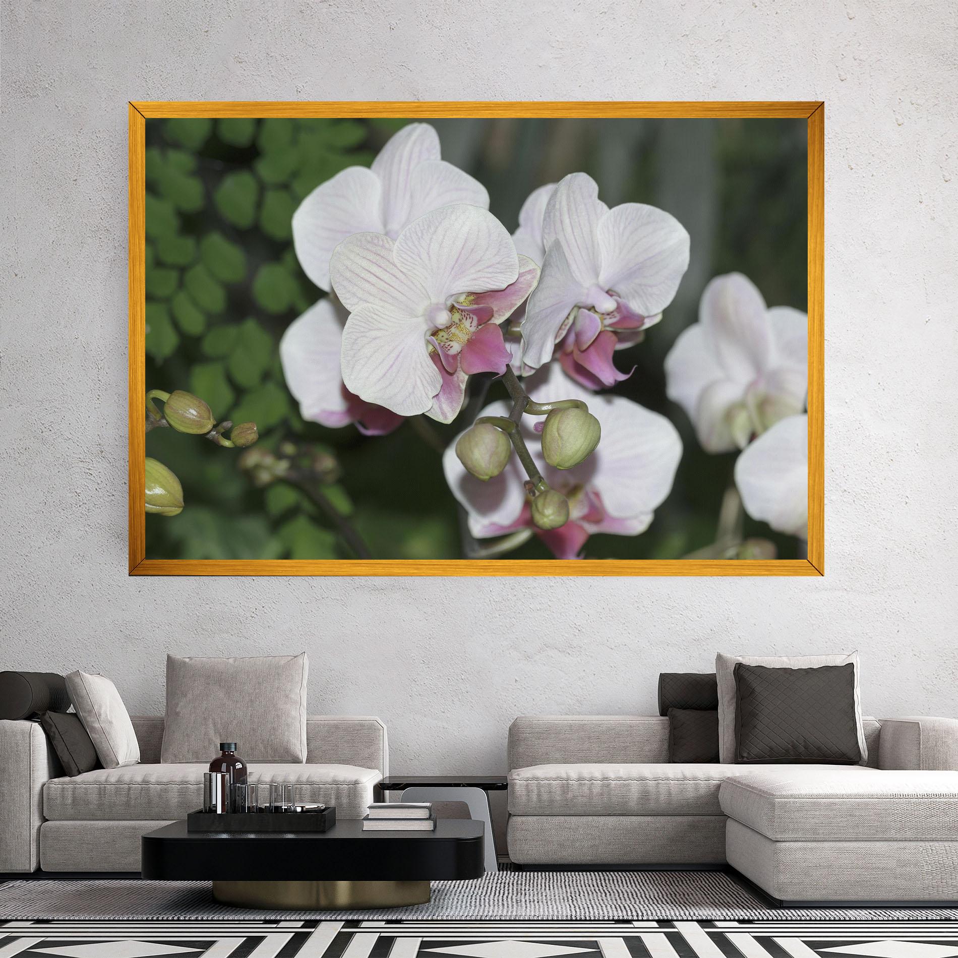 Tablou Canvas Orchid Botanical Garden mockup 2
