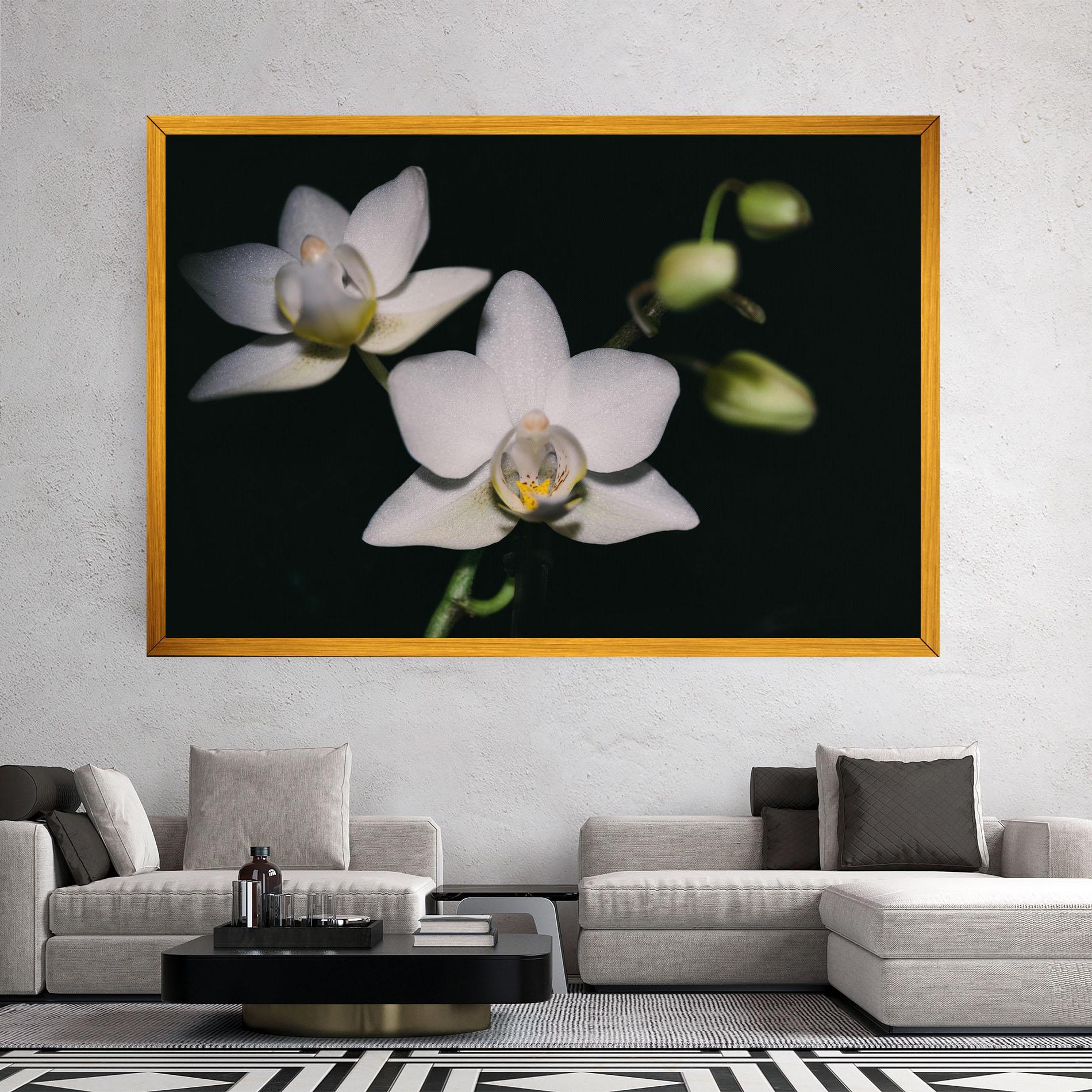 Tablou Canvas Orchids On Black mockup 2