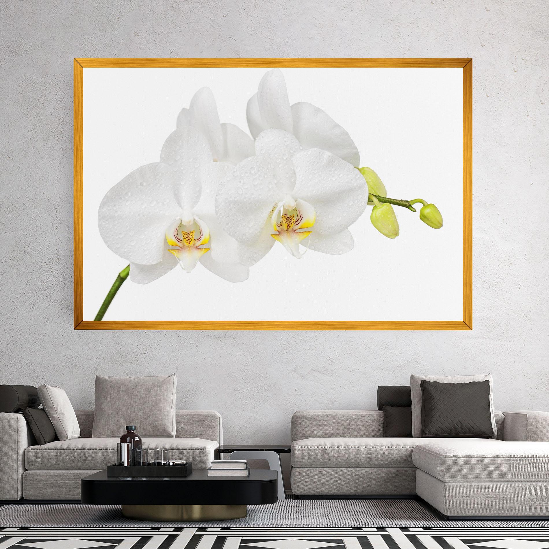 Tablou Canvas Orchids On White mockup 2