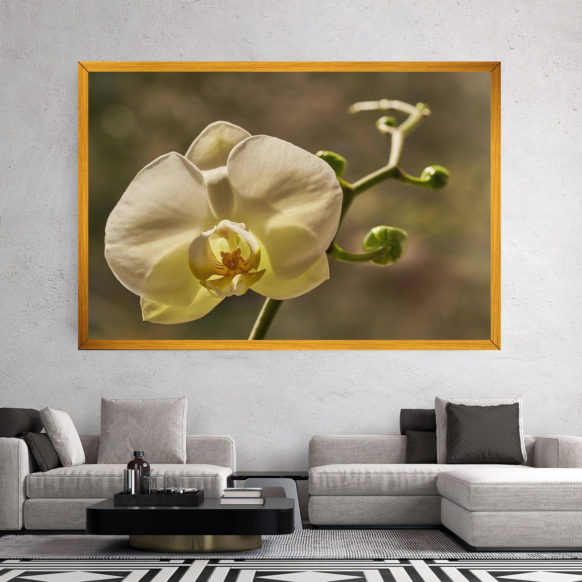 Tablou Canvas Pastel Yellow Orchid In Garden mockup 2