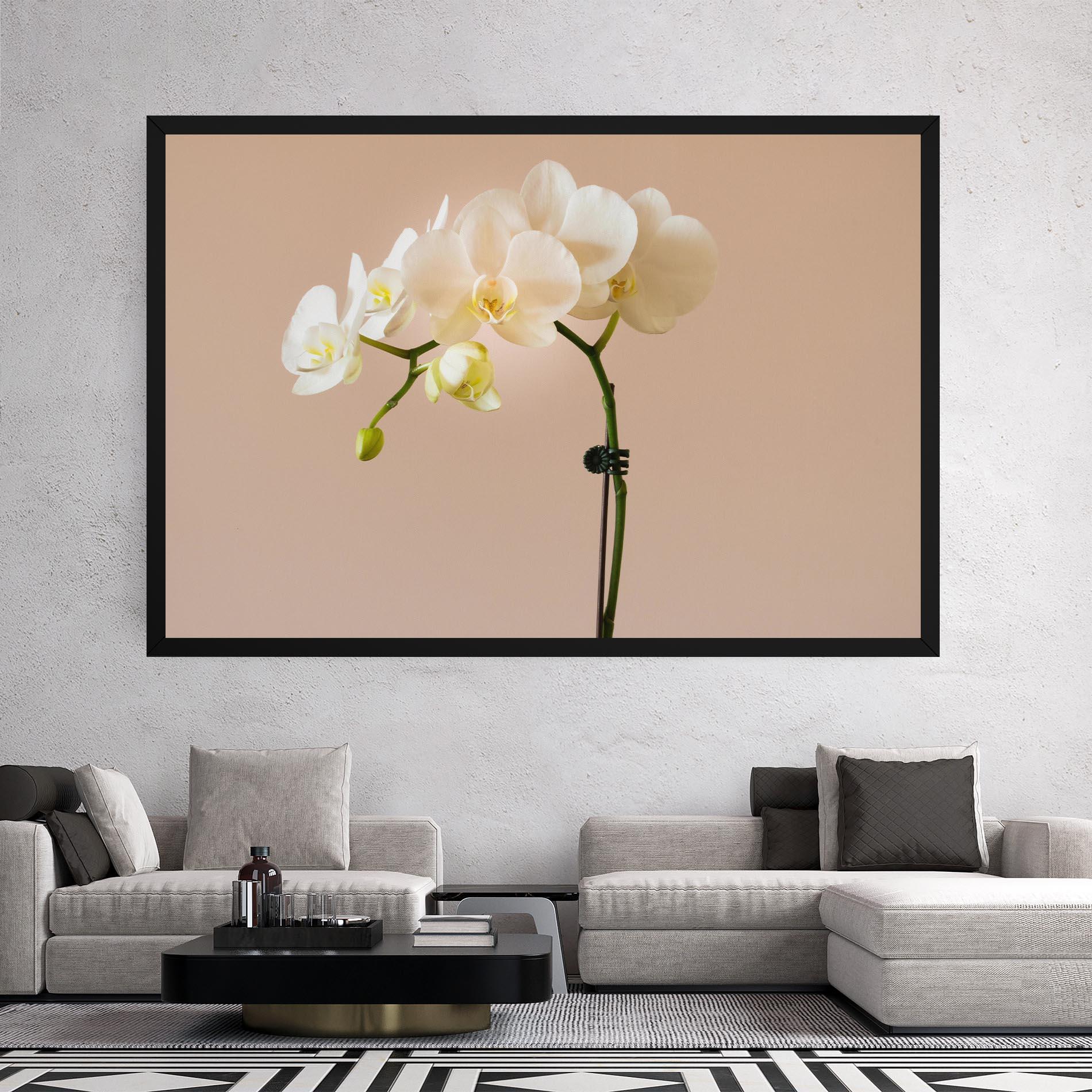 Tablou Canvas Cream Orchid On Pink mockup 2