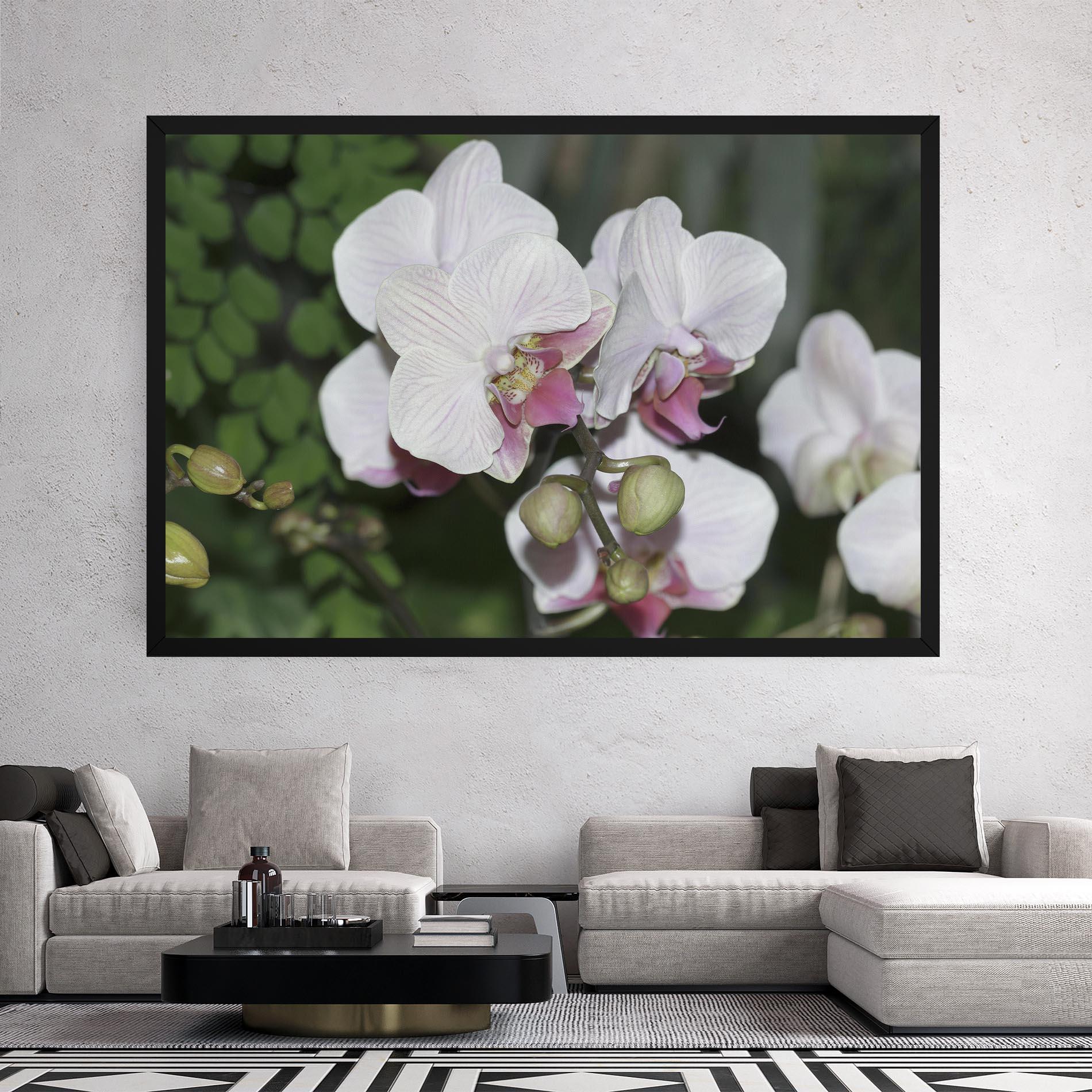 Tablou Canvas Orchid Botanical Garden mockup 2