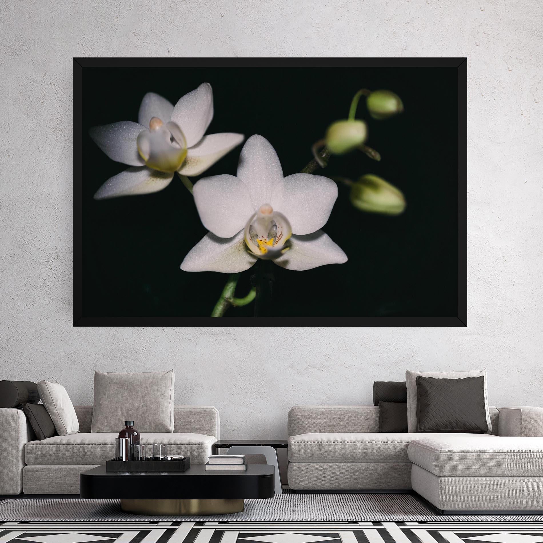 Tablou Canvas Orchids On Black mockup 2