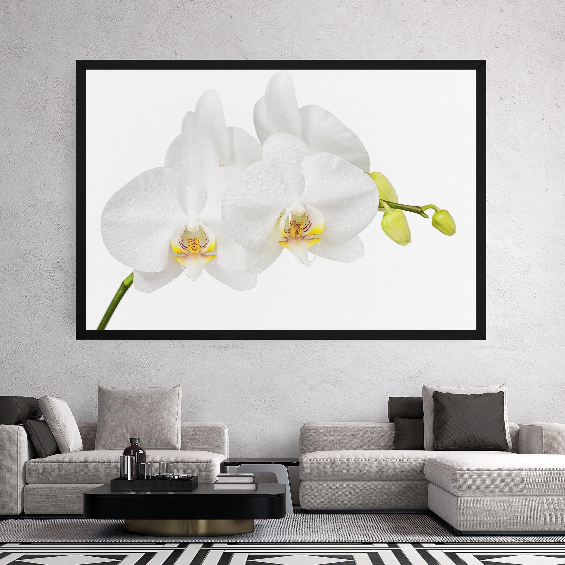 Tablou Canvas Orchids On White mockup 2