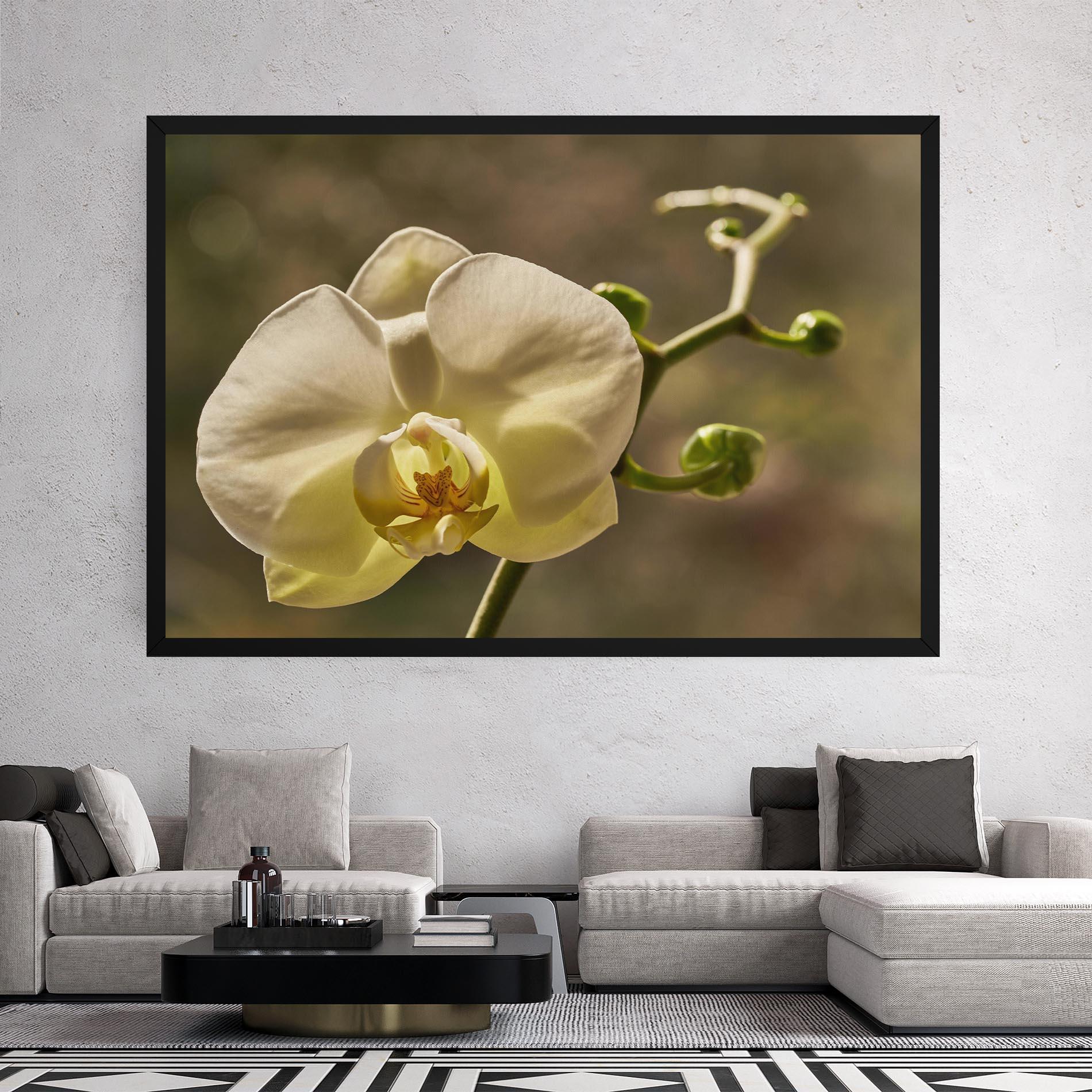 Tablou Canvas Pastel Yellow Orchid In Garden mockup 2