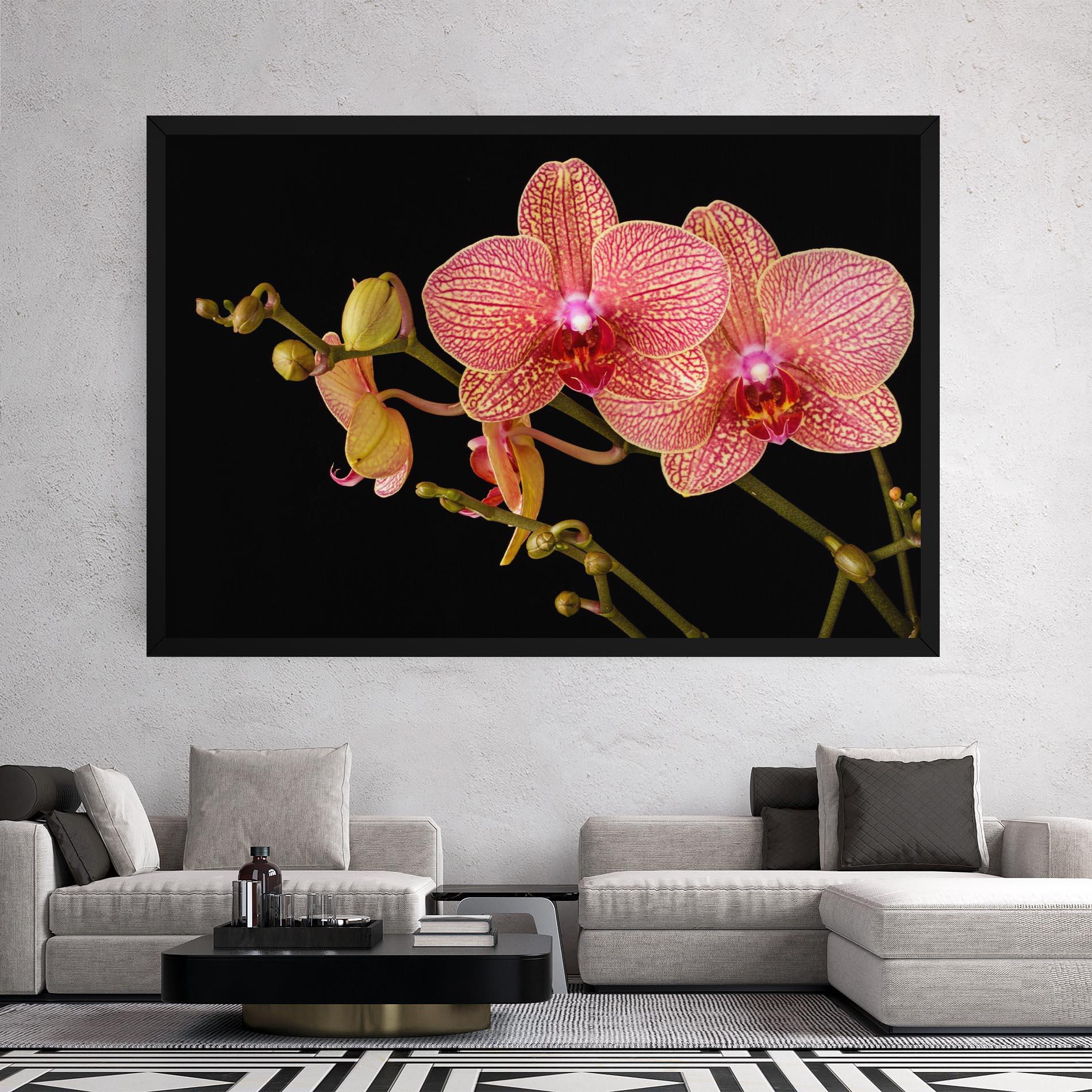 Tablou Canvas Pink Orchids On Black mockup 2