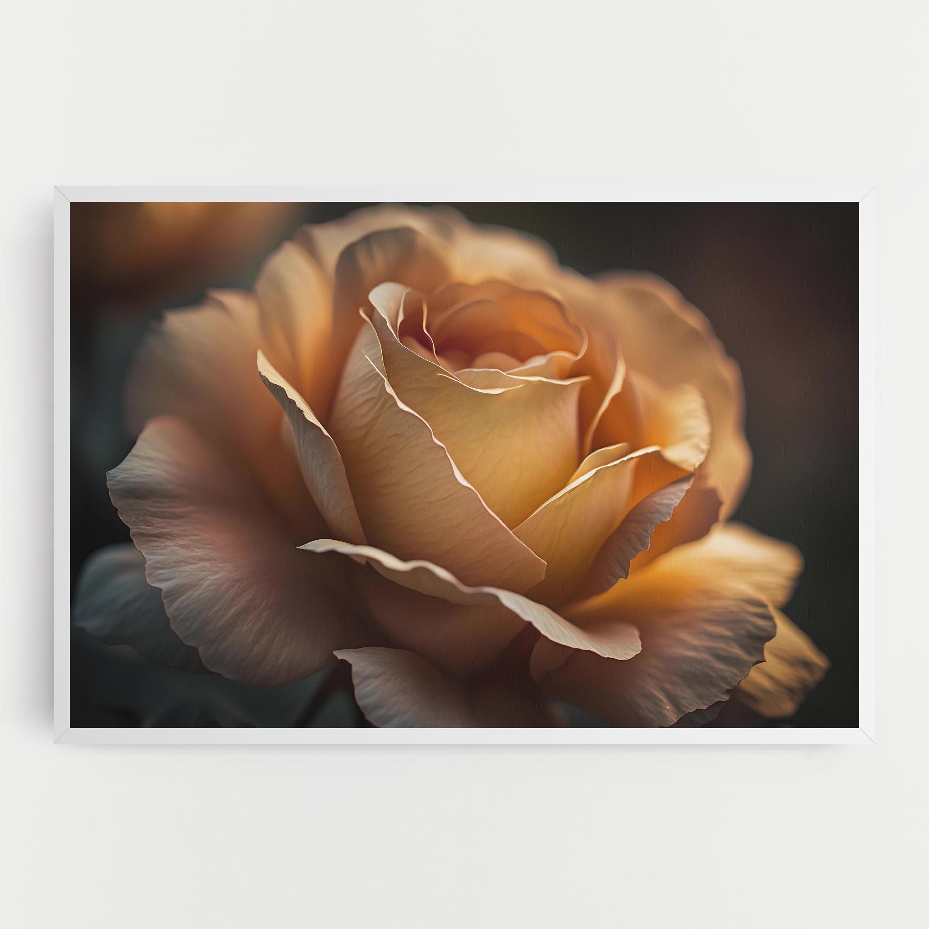 Light Orange Rose Close Up mockup 0