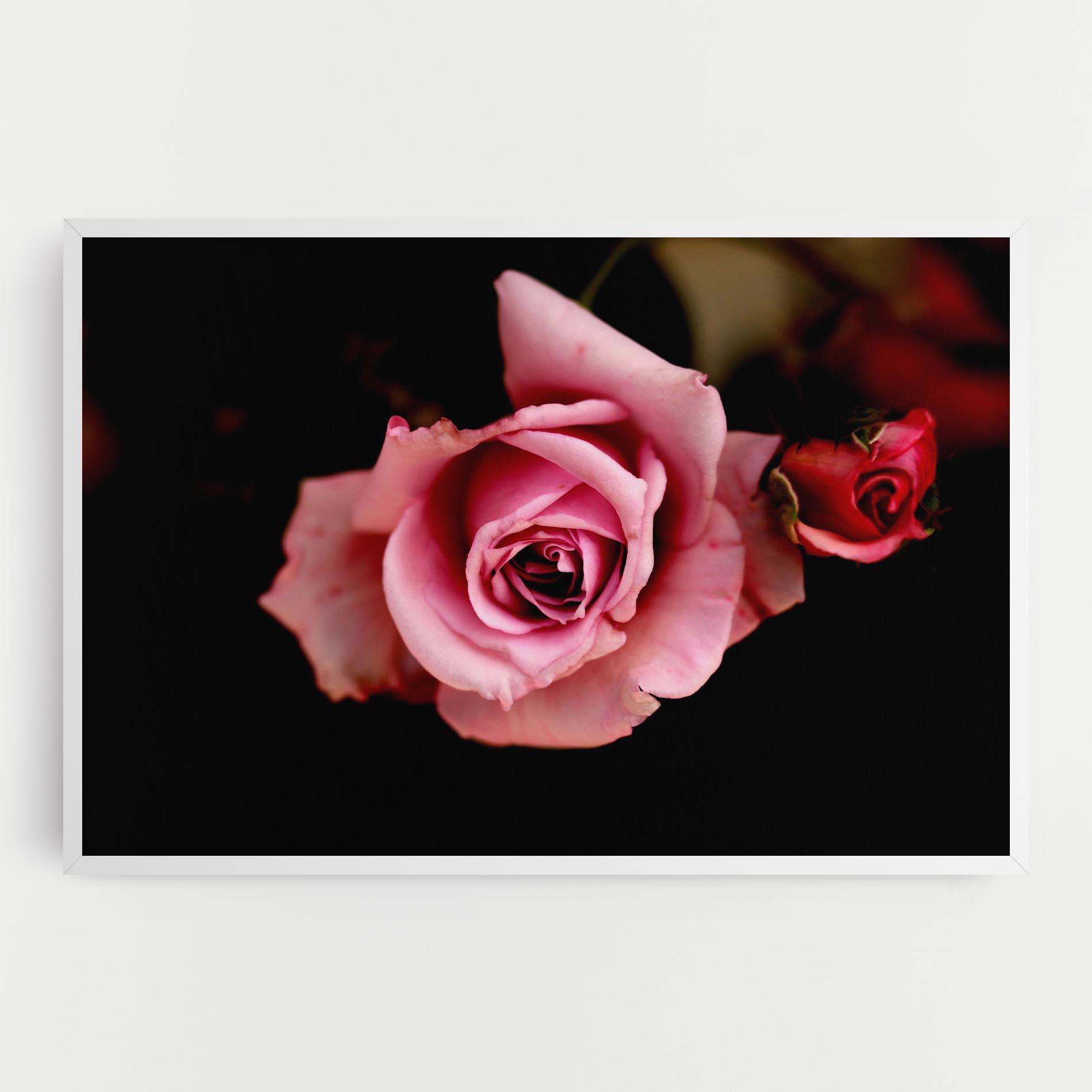 Tablou Canvas Opened Pink Rose mockup 0