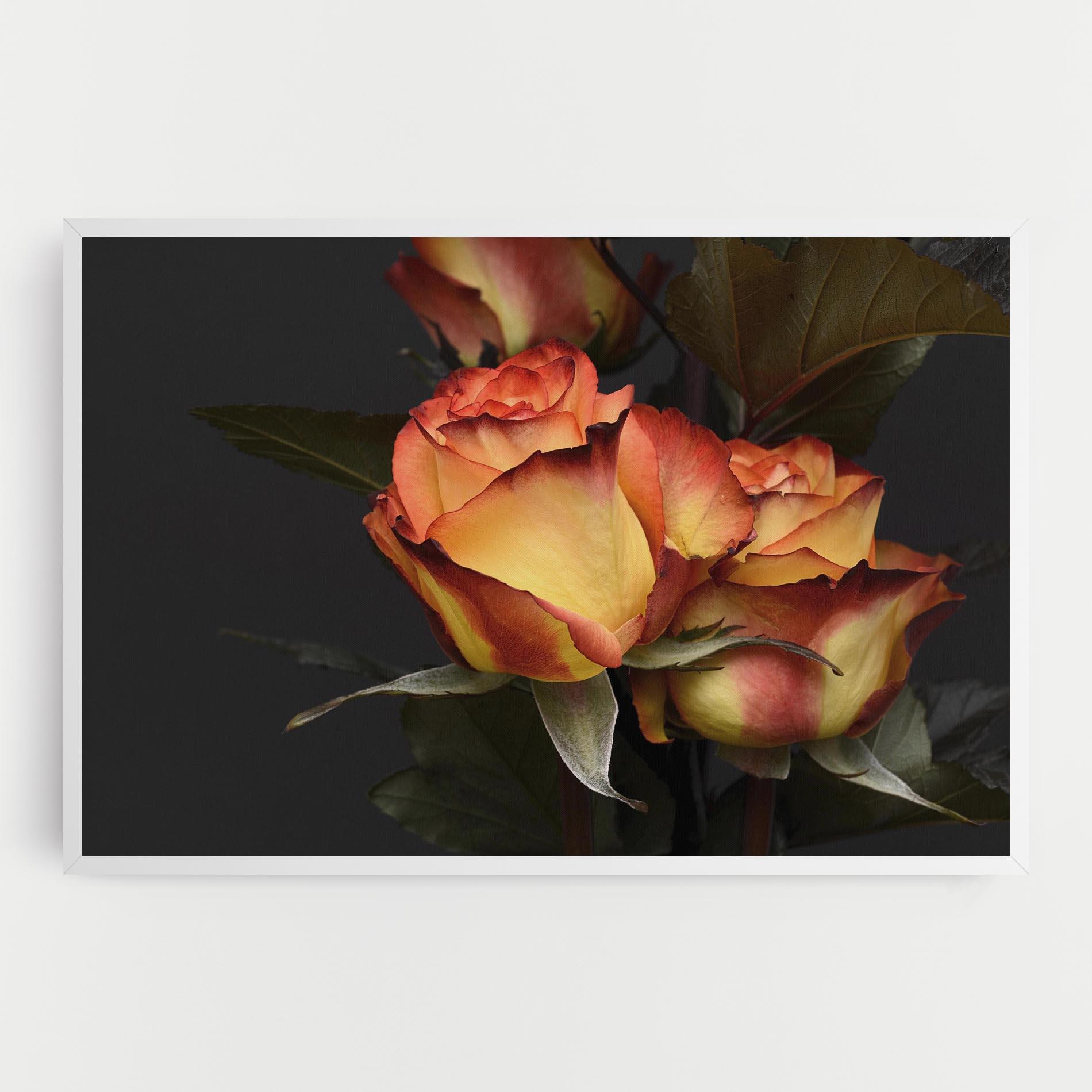 Tablou Canvas Orange Rose mockup 0