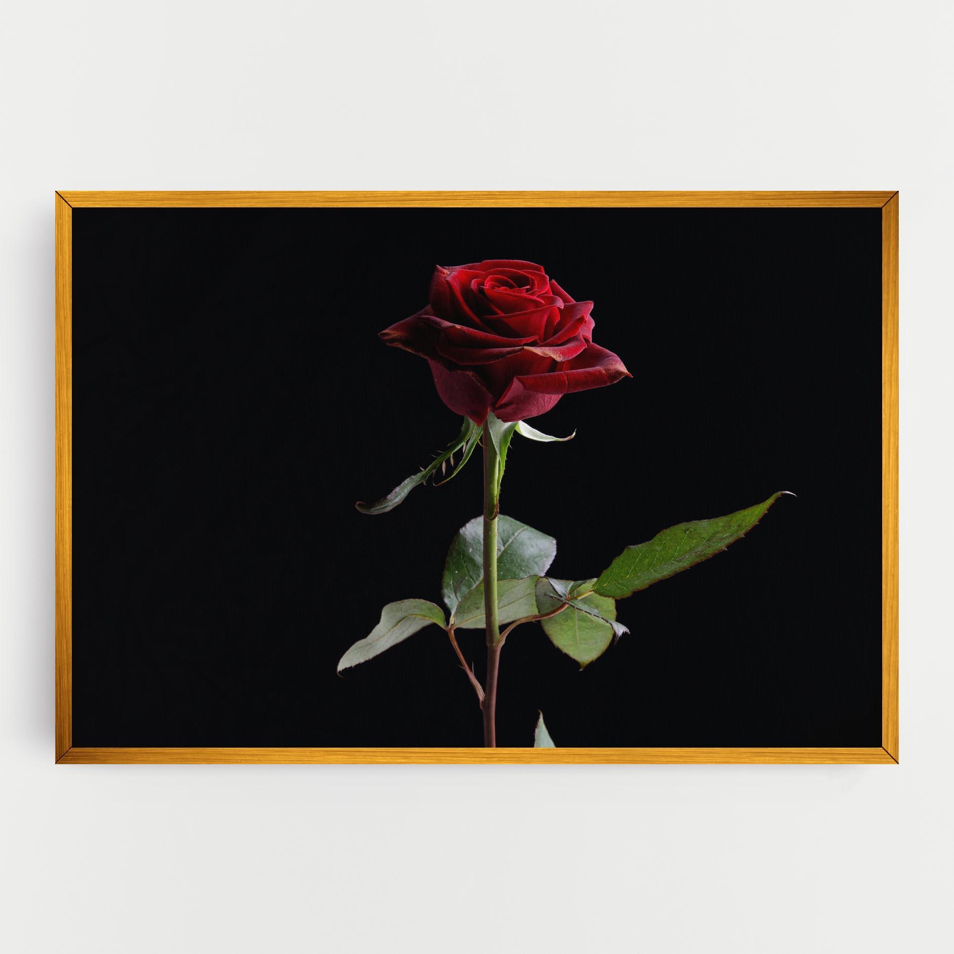 Tablou Canvas Beautiful Red Rose mockup 0