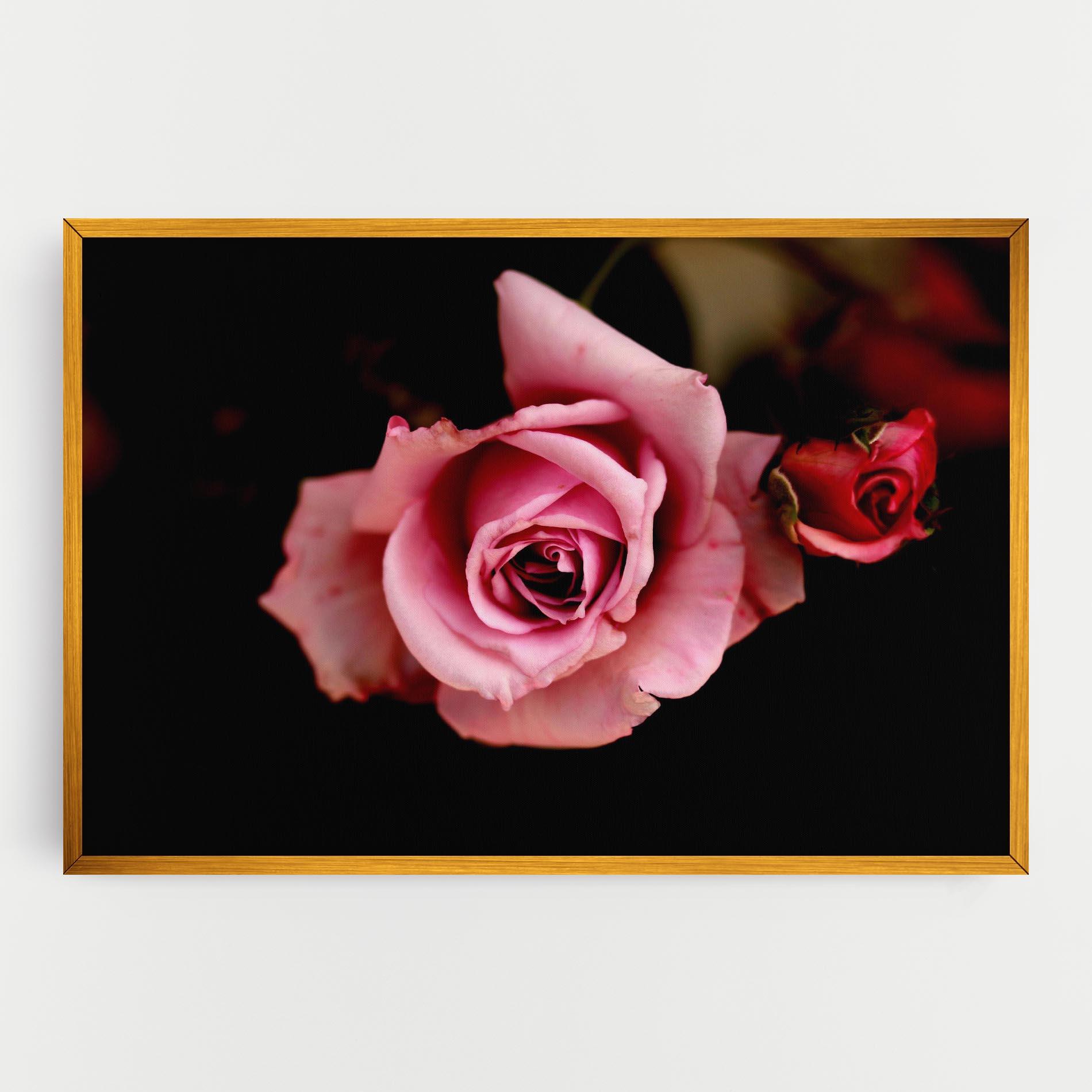 Tablou Canvas Opened Pink Rose mockup 0