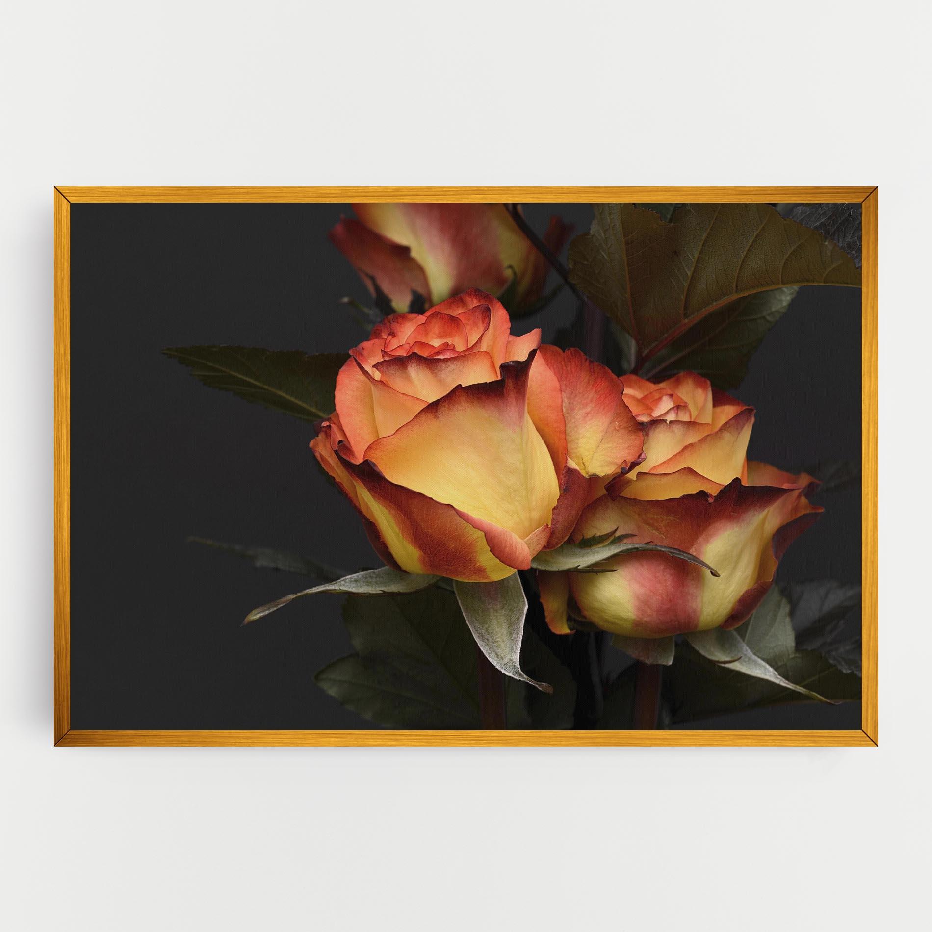 Tablou Canvas Orange Rose mockup 0