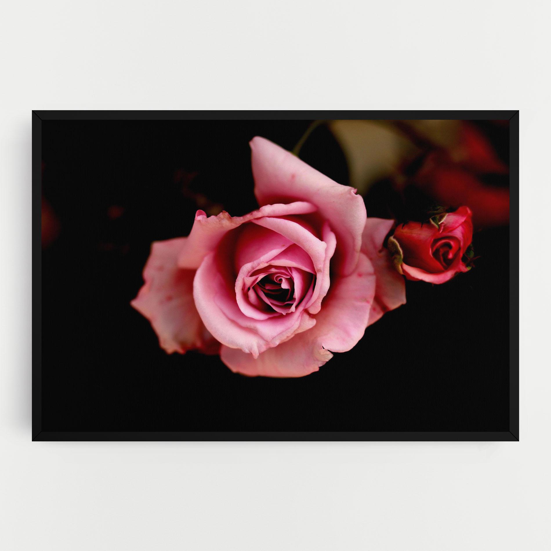 Tablou Canvas Opened Pink Rose mockup 0