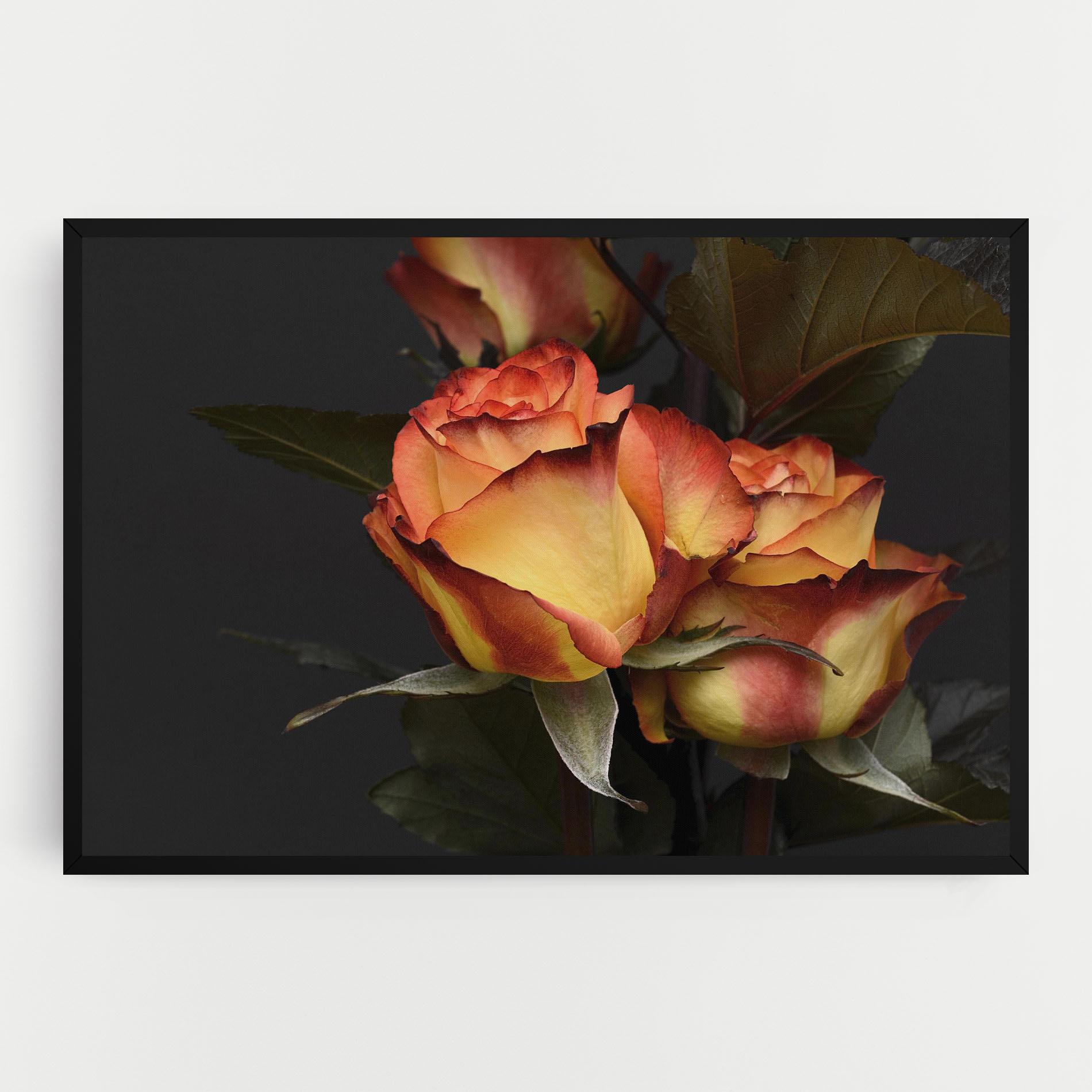 Tablou Canvas Orange Rose mockup 0