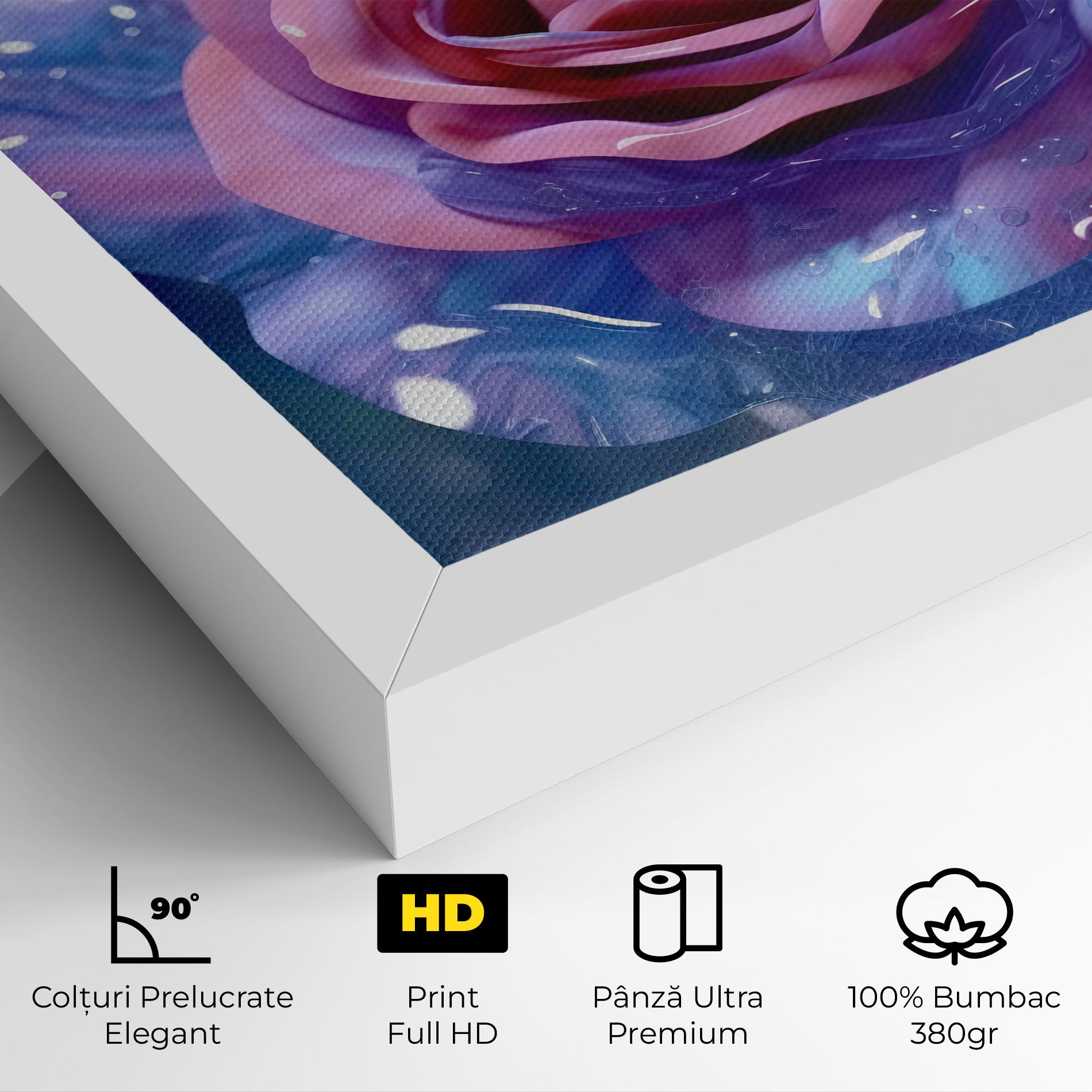Beautiful Blue Pink Rose mockup 4