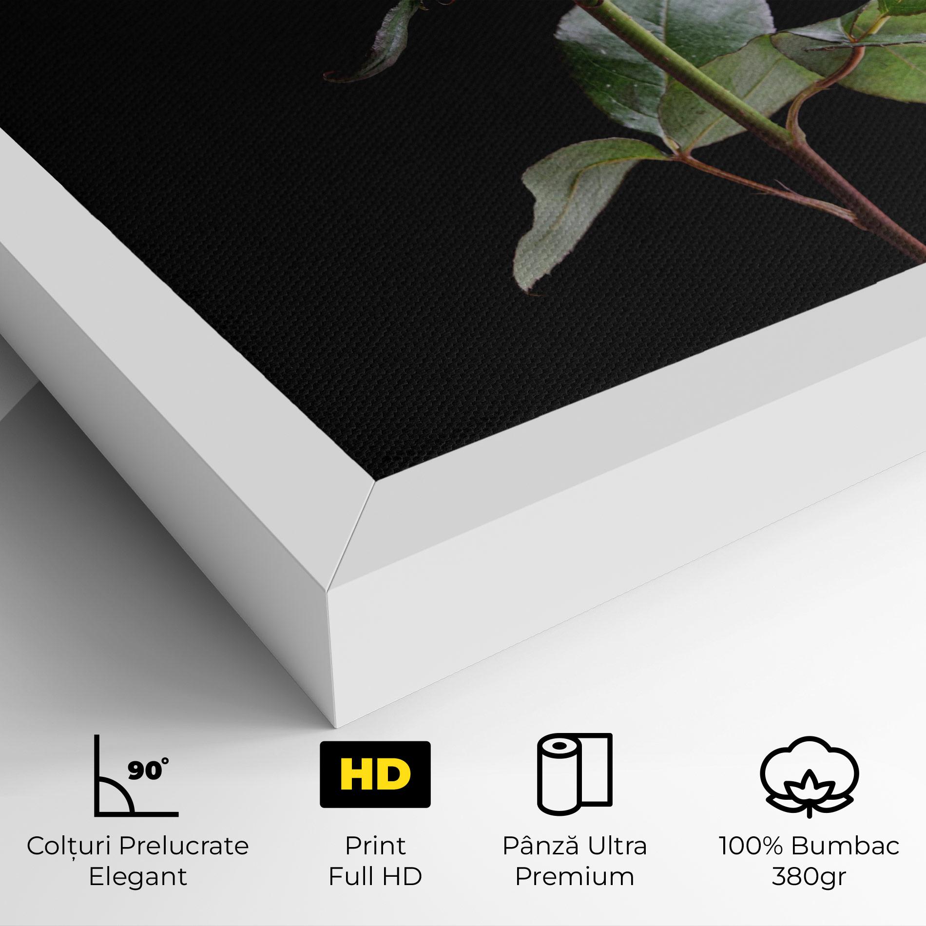 Tablou Canvas Beautiful Red Rose mockup 4