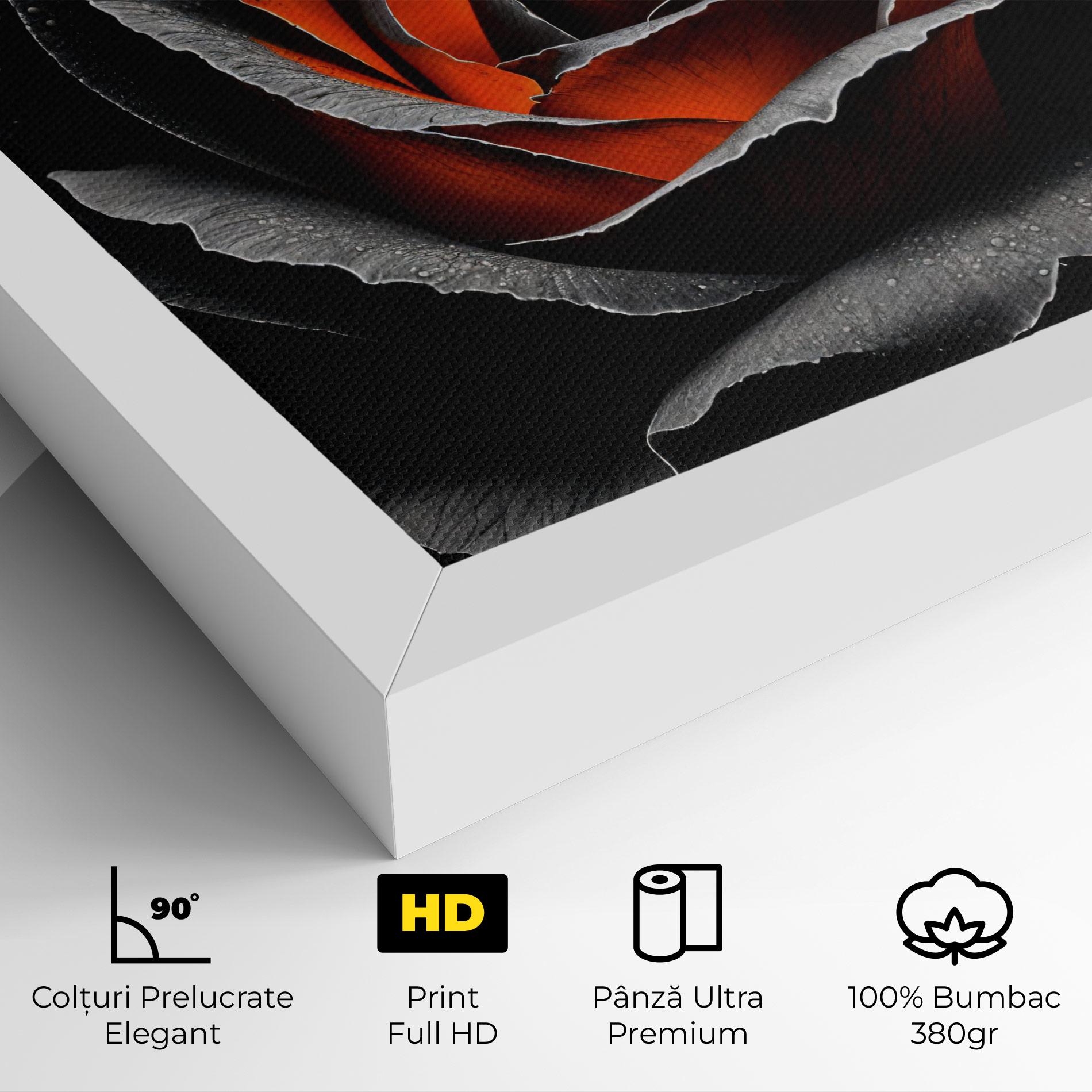 Tablou Canvas Grey Orange Rose mockup 4