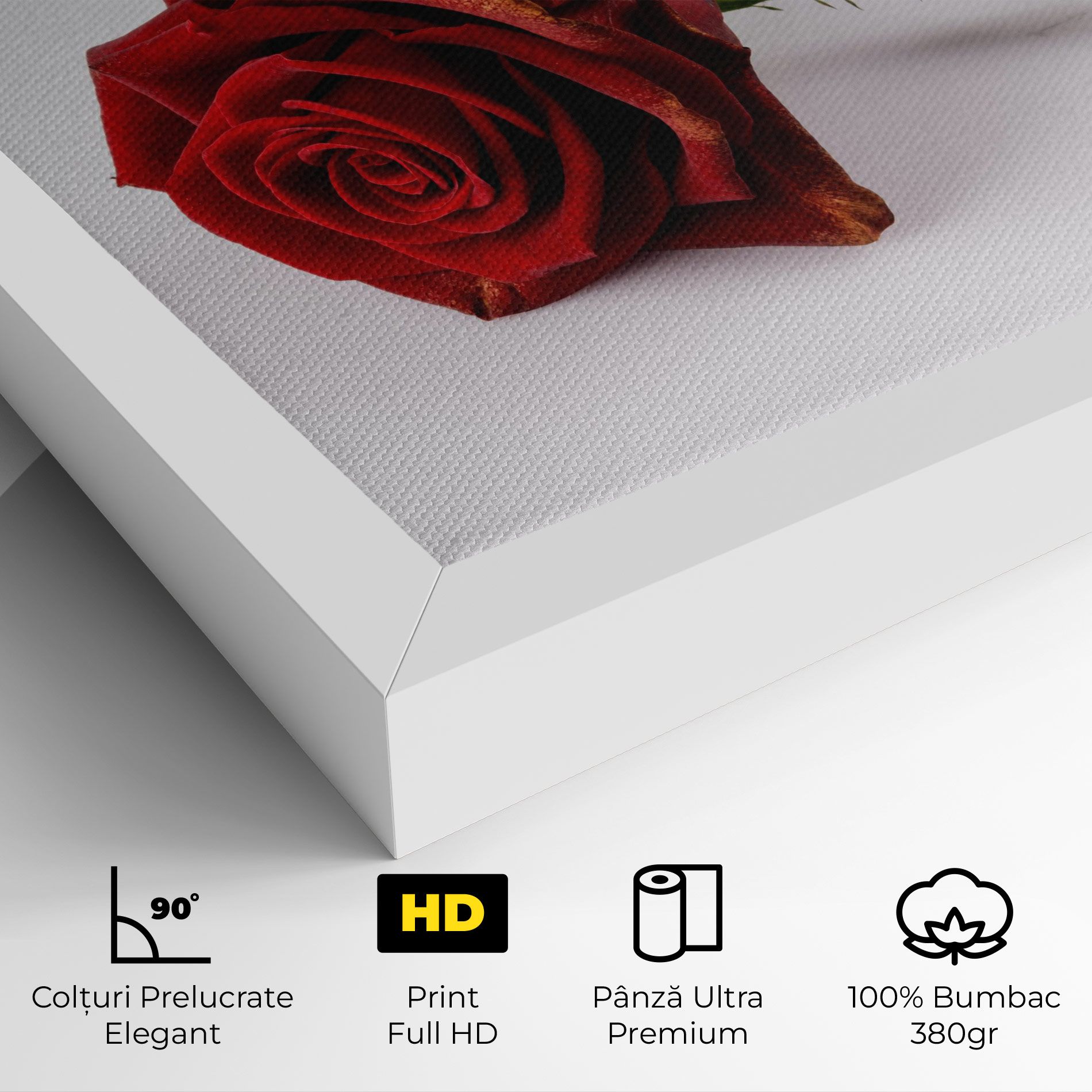 Lonely Rose mockup 4