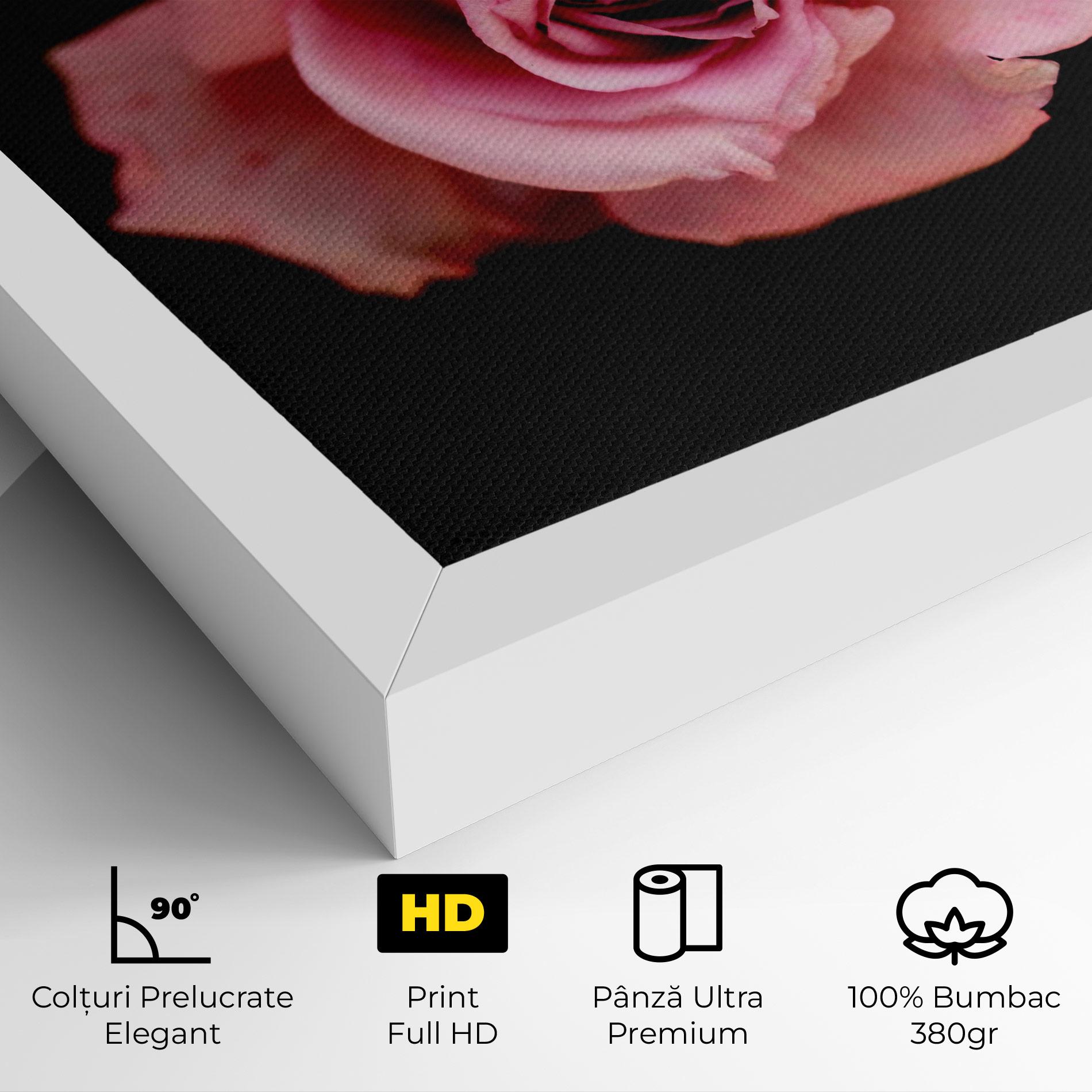 Tablou Canvas Opened Pink Rose mockup 4