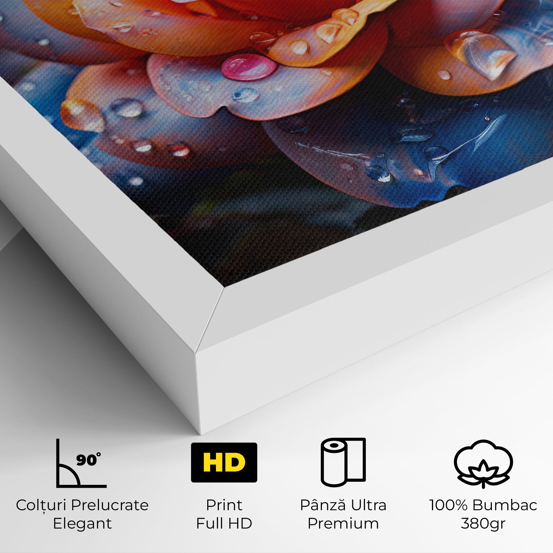 Orange Blue Rose mockup 4