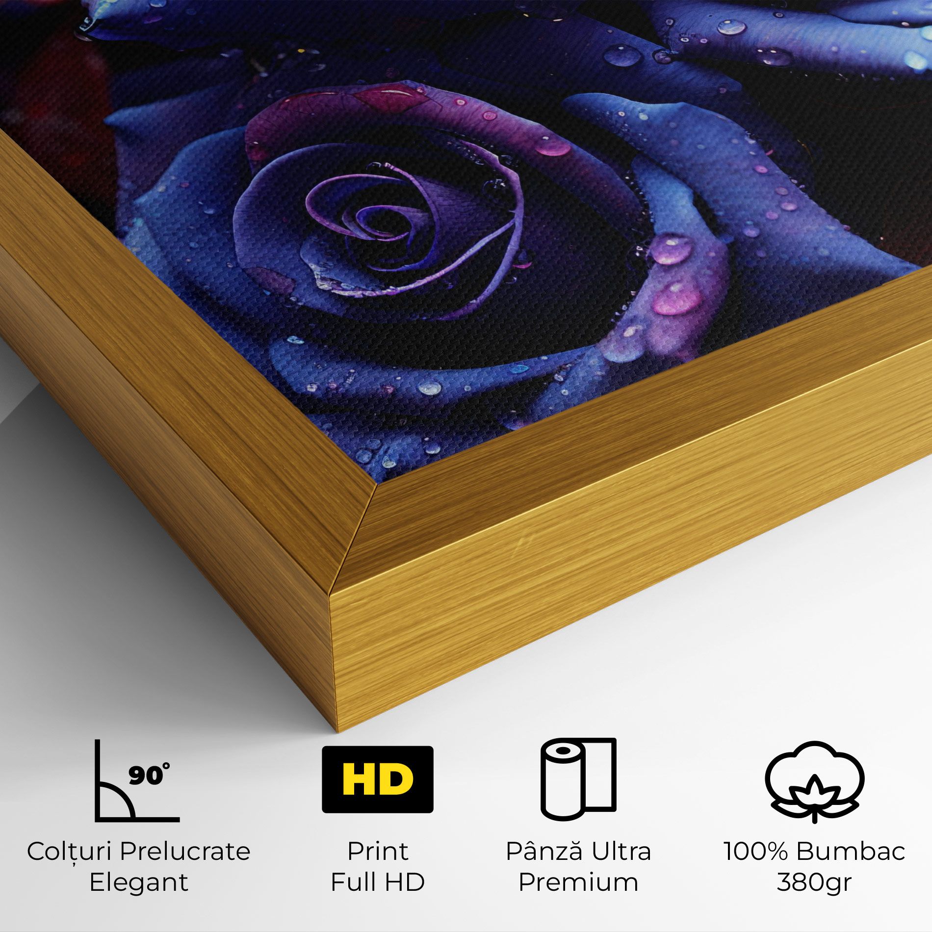 Blue Purple Rose mockup 4