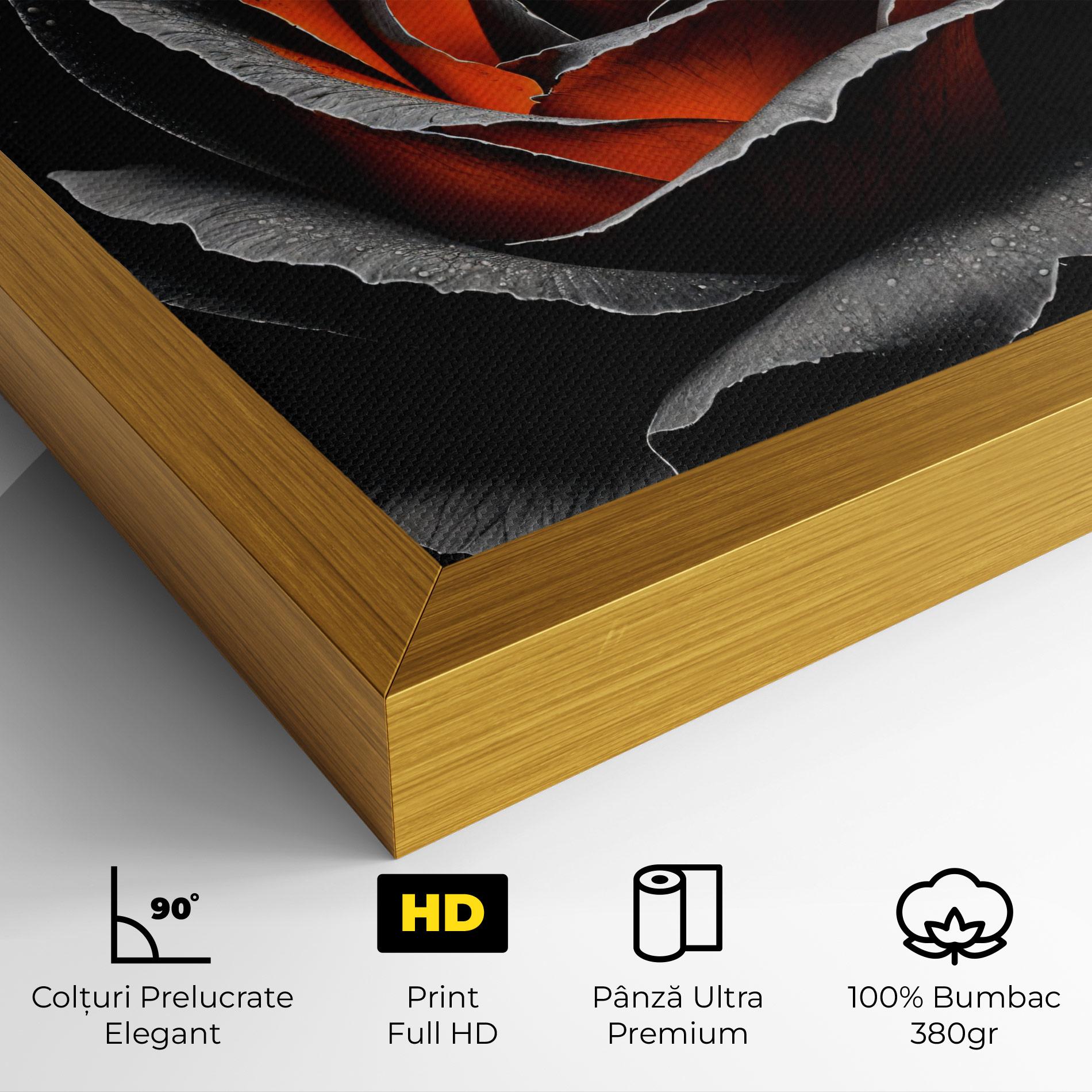 Tablou Canvas Grey Orange Rose mockup 4