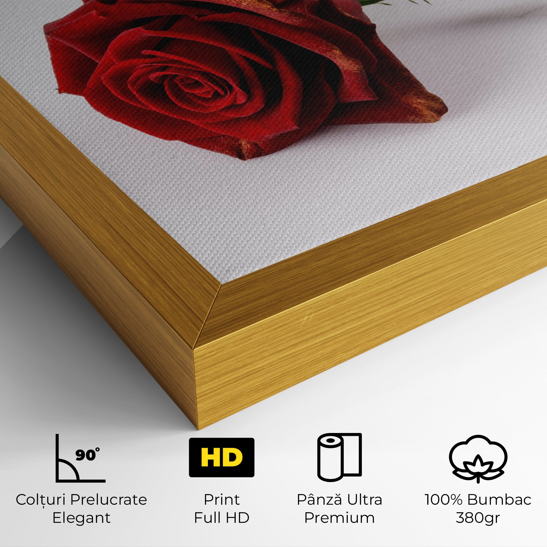 Lonely Rose mockup 4