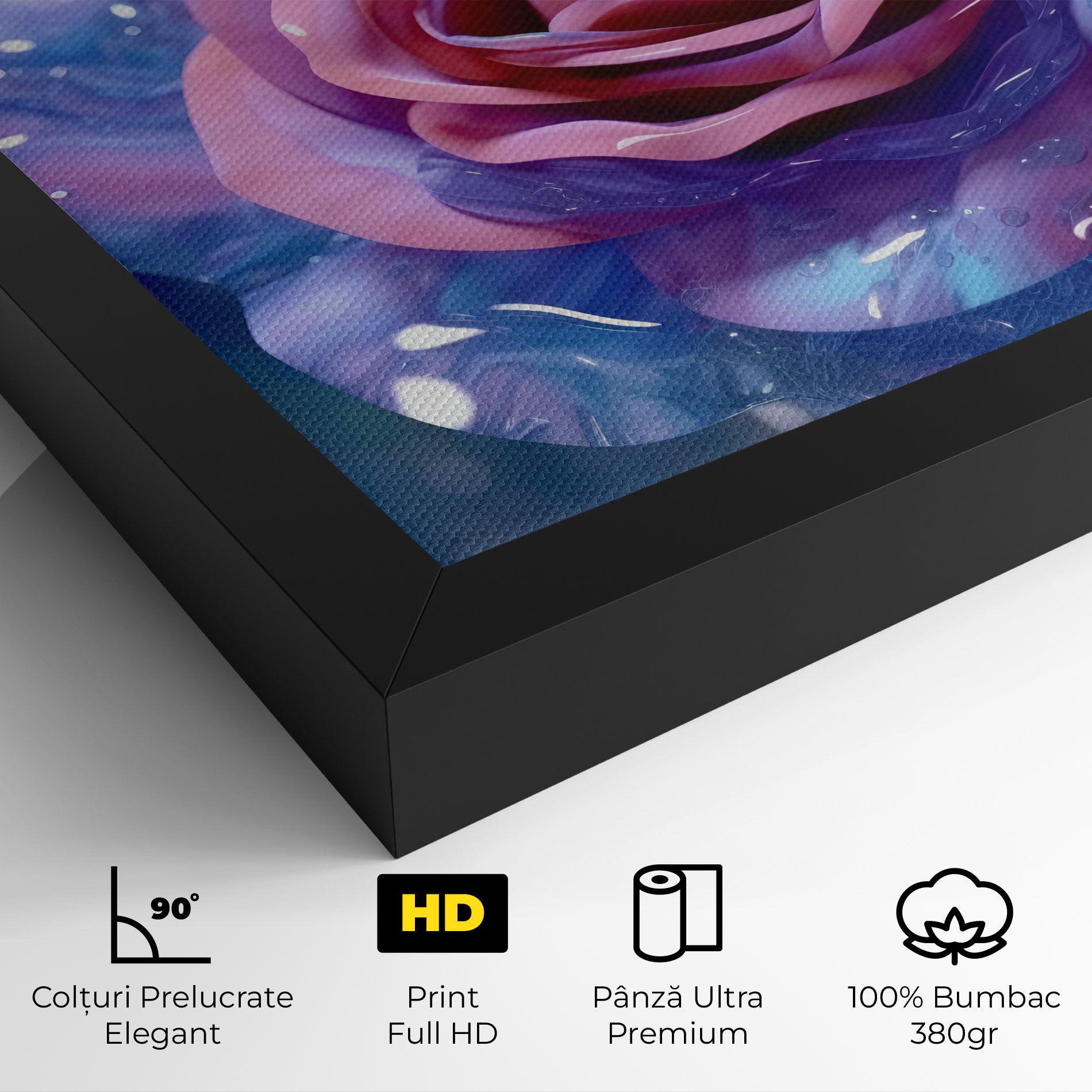 Beautiful Blue Pink Rose mockup 4