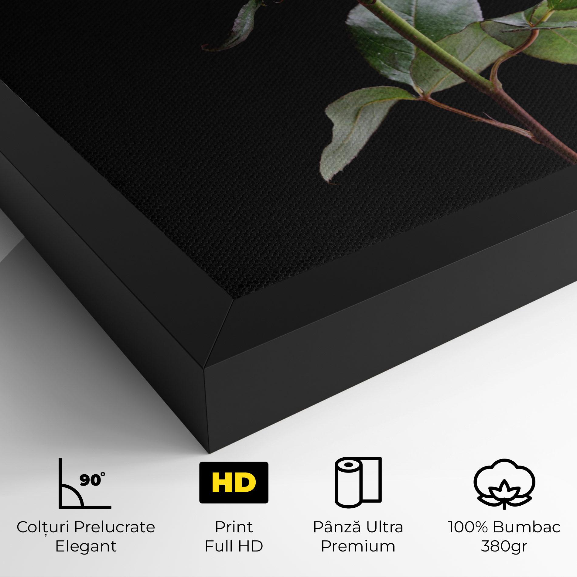 Tablou Canvas Beautiful Red Rose mockup 4