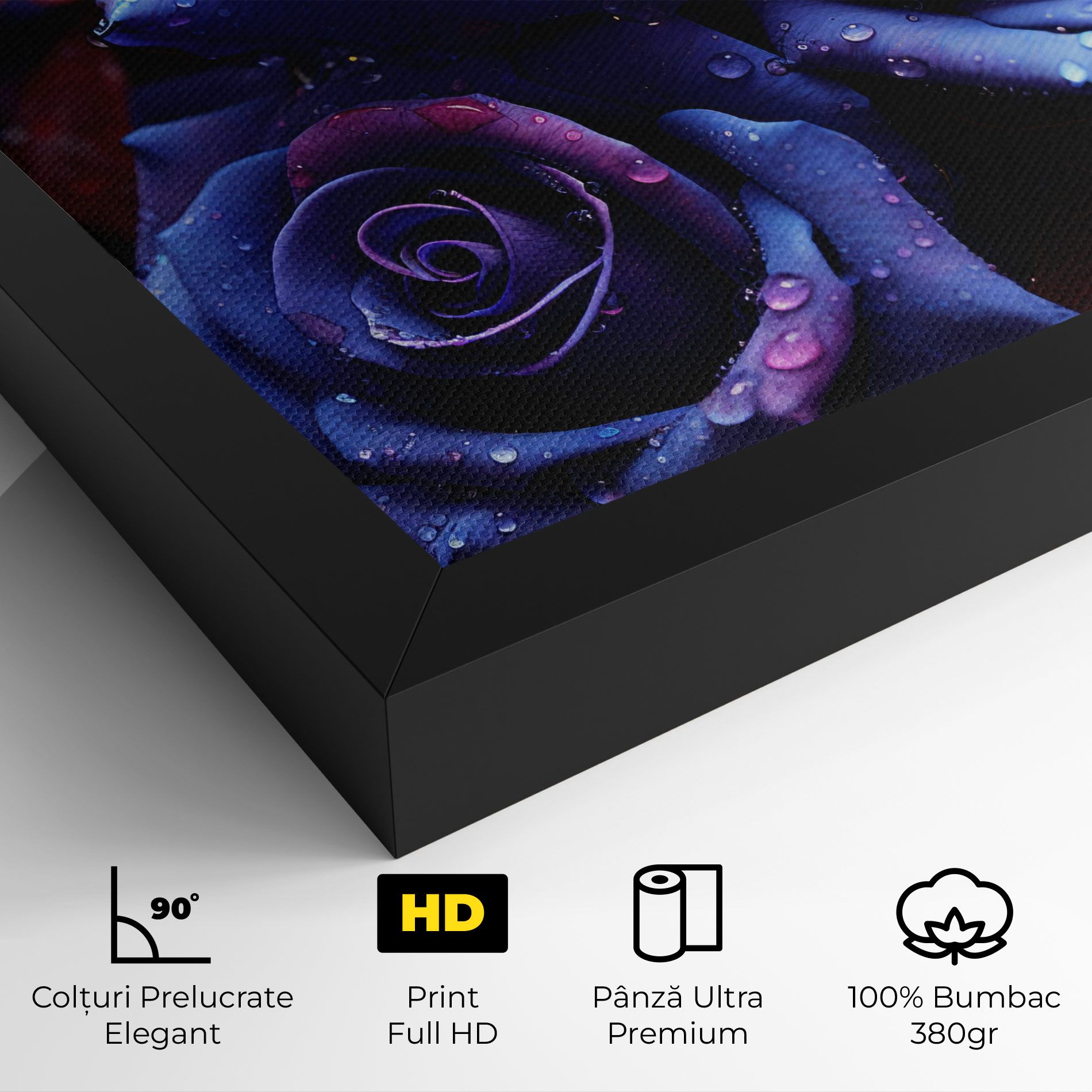 Blue Purple Rose mockup 4