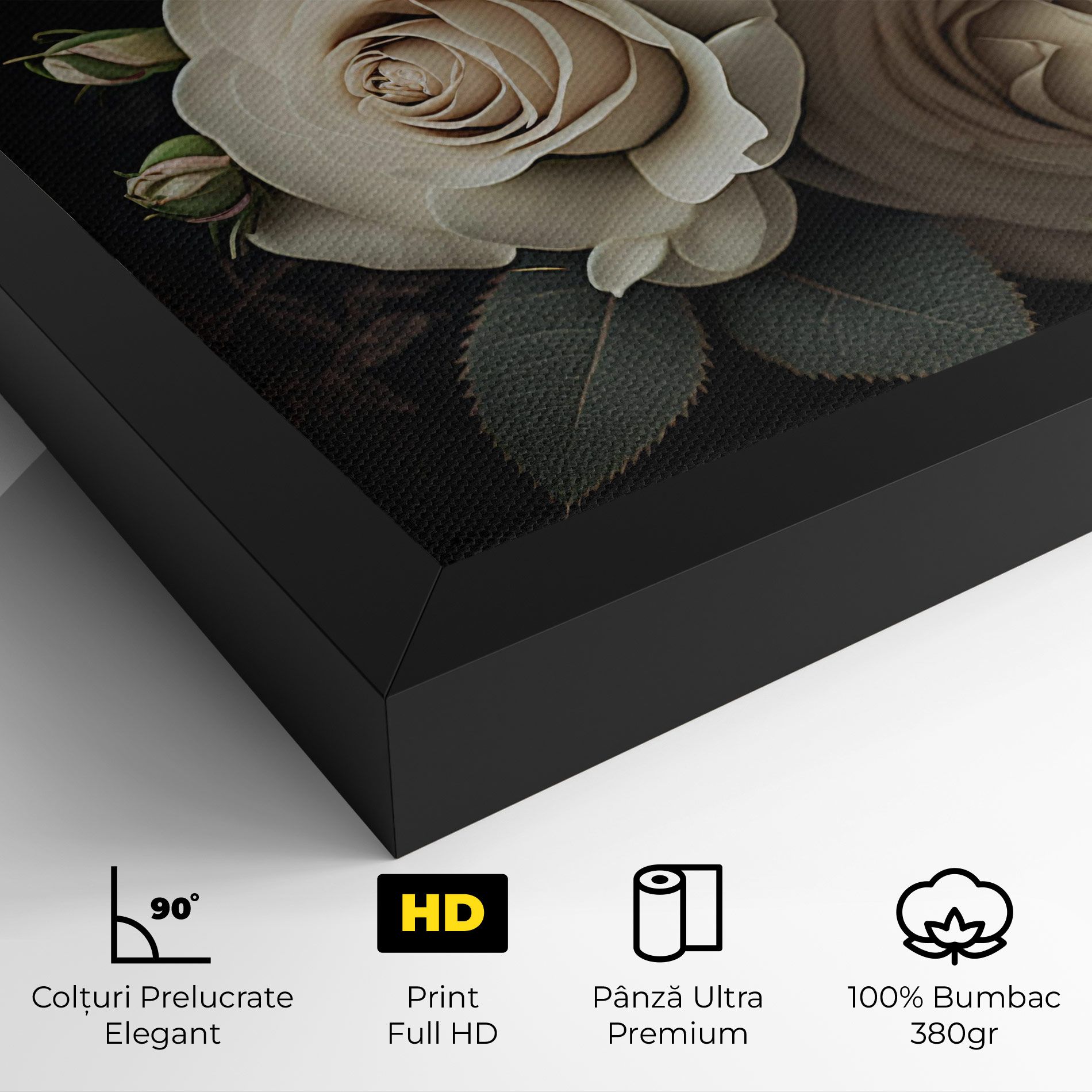 Cream Roses Close Up mockup 4