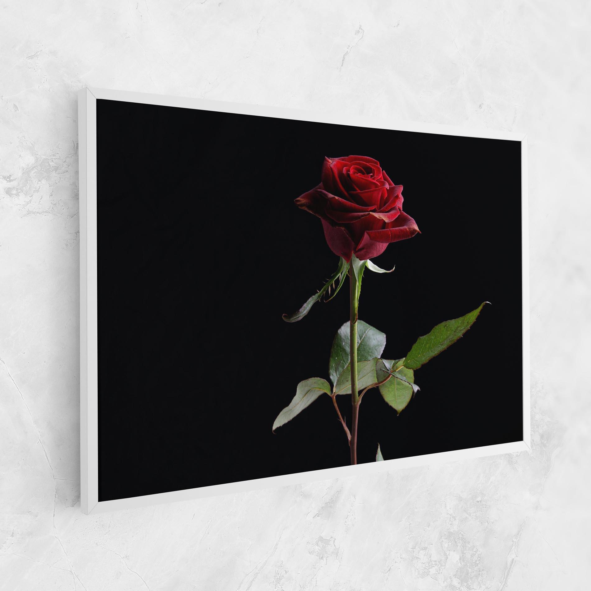 Tablou Canvas Beautiful Red Rose mockup 1