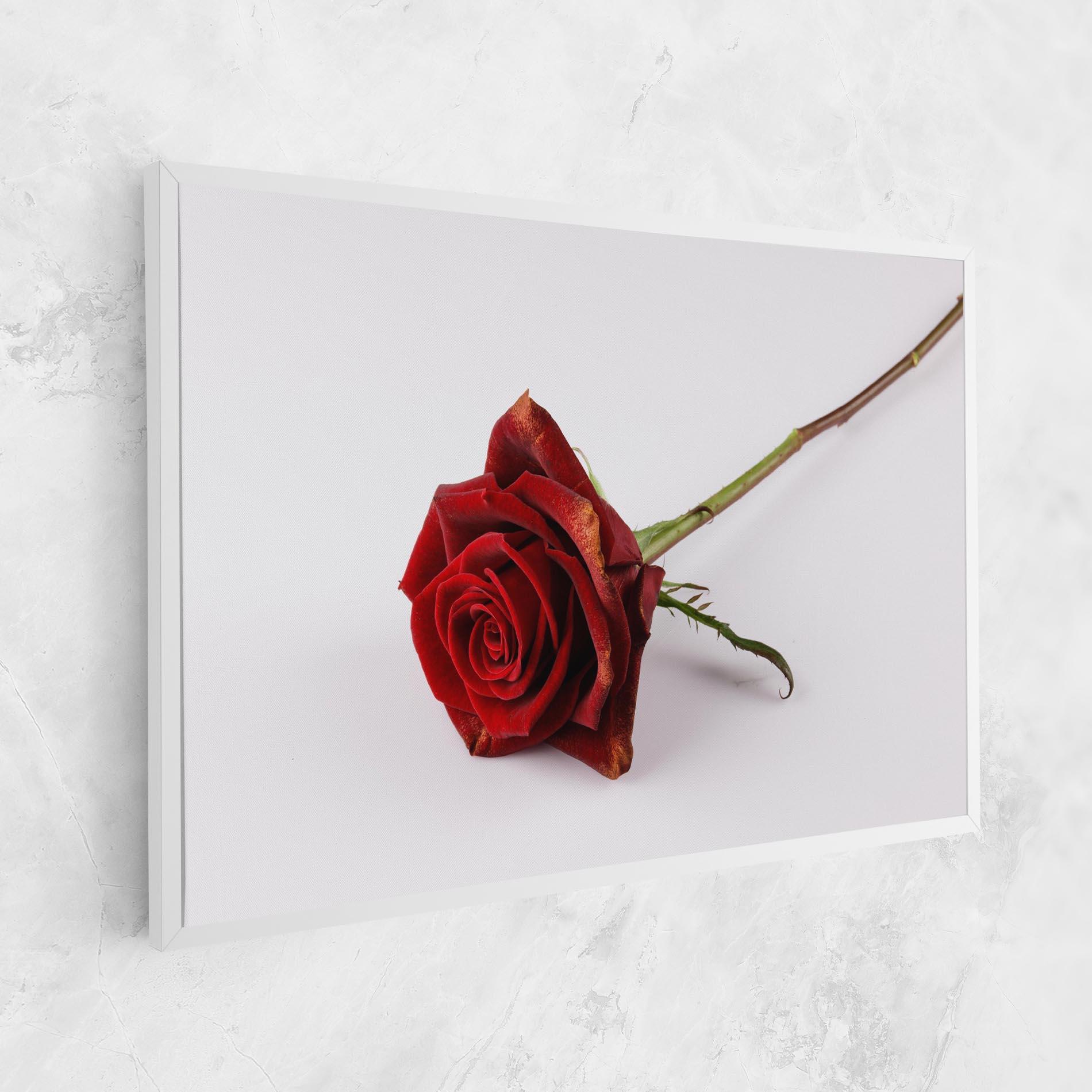 Tablou Canvas Lonely Rose mockup 1